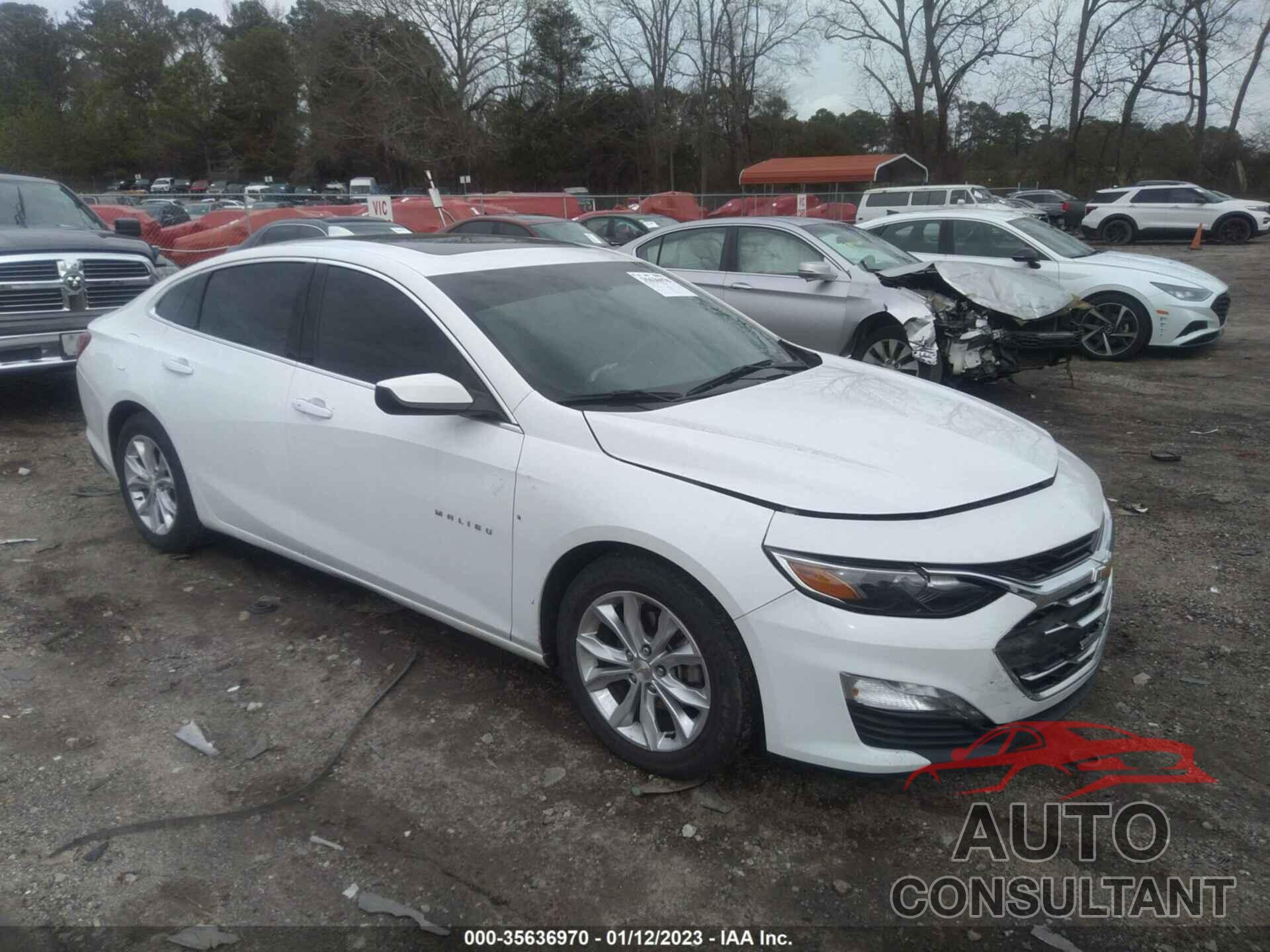 CHEVROLET MALIBU 2019 - 1G1ZD5ST4KF141923