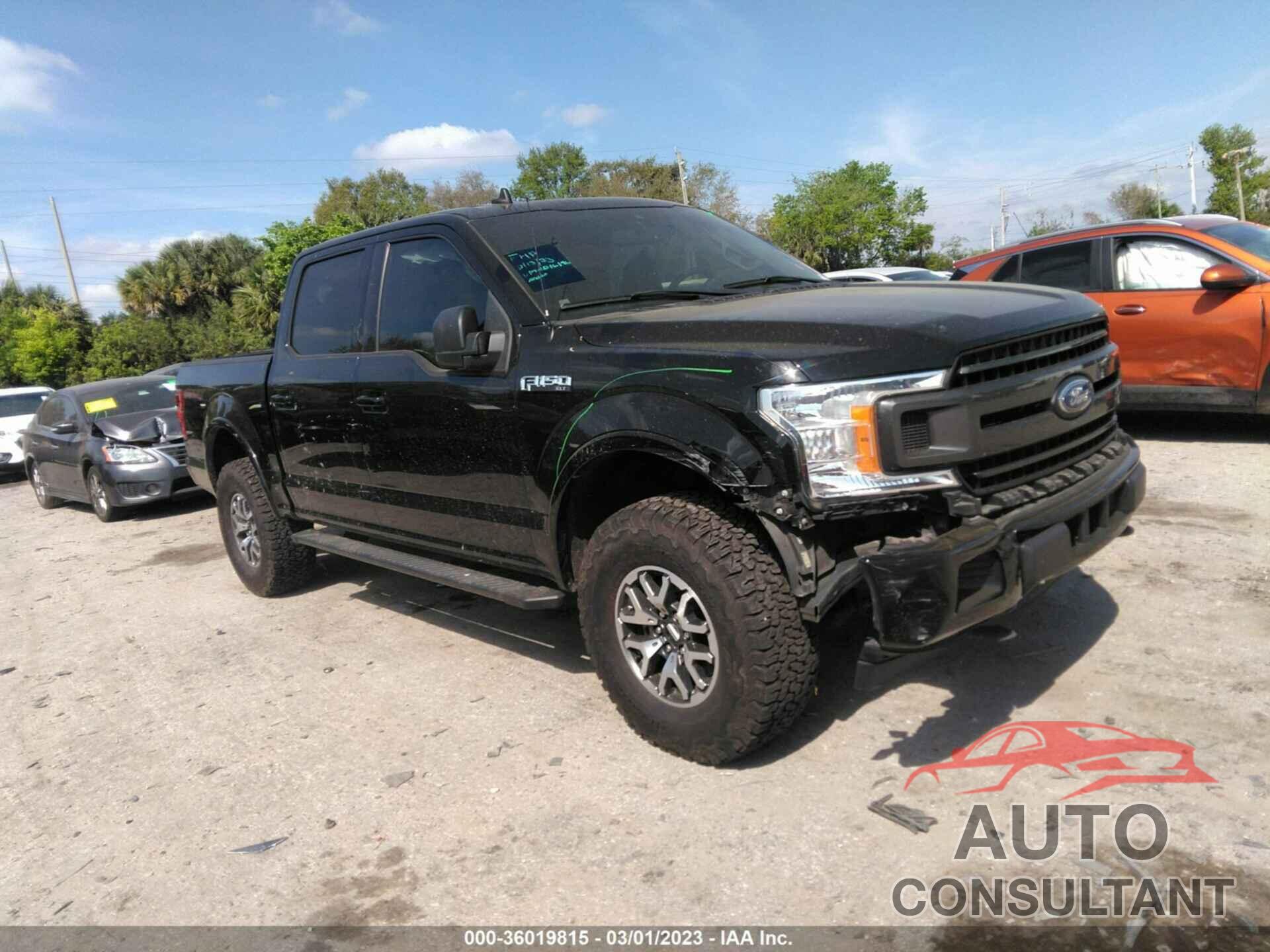 FORD F-150 2019 - 1FTEW1EP7KFB16196