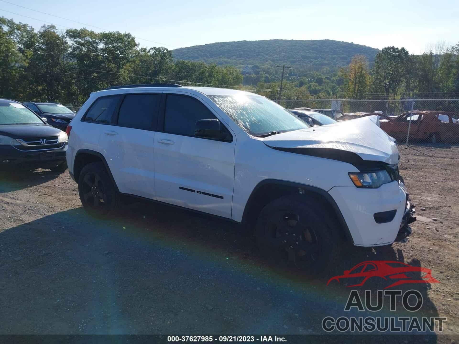 JEEP GRAND CHEROKEE 2019 - 1C4RJFAG7KC595319