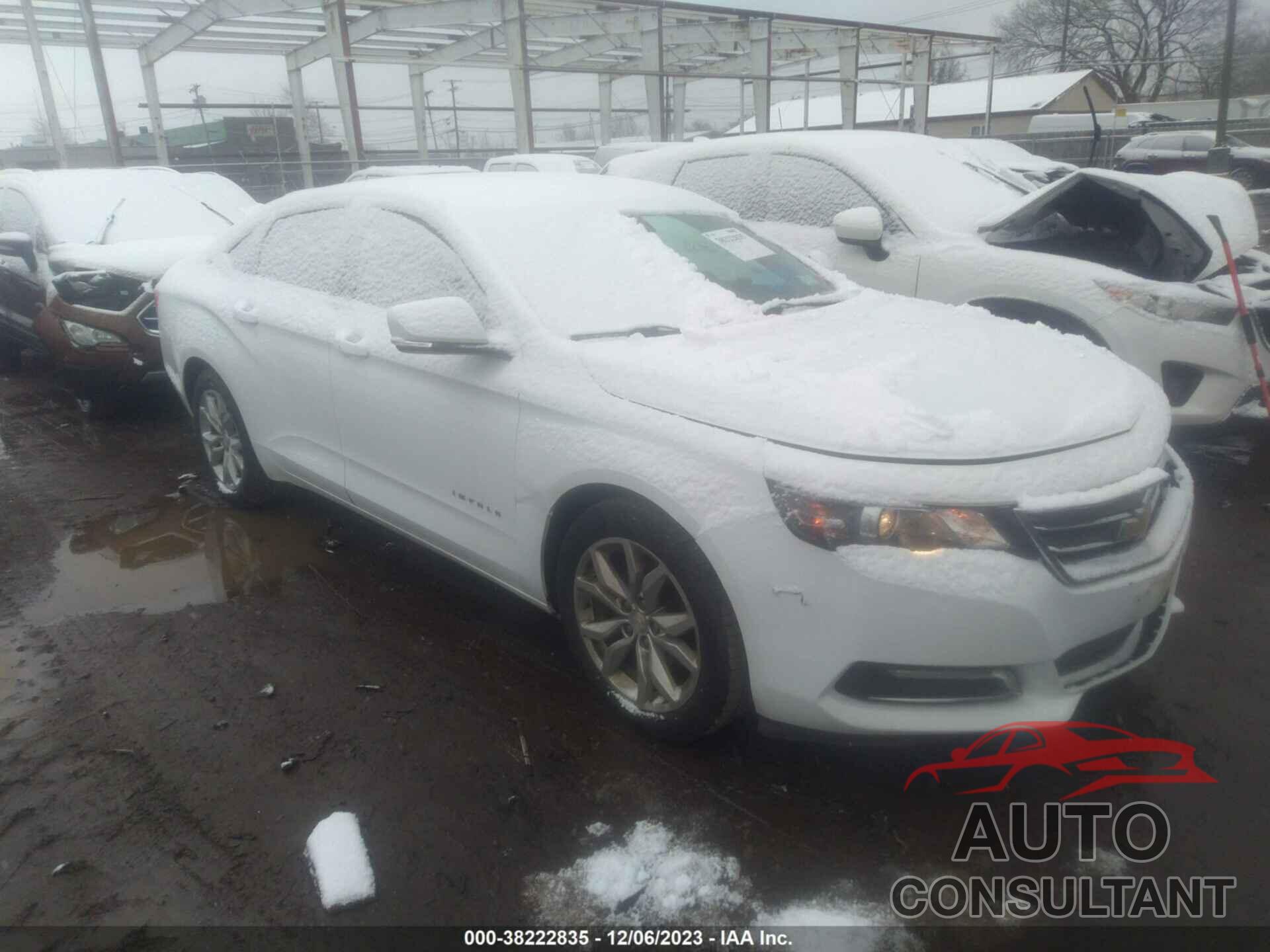 CHEVROLET IMPALA 2019 - 1G11Z5S31KU102863