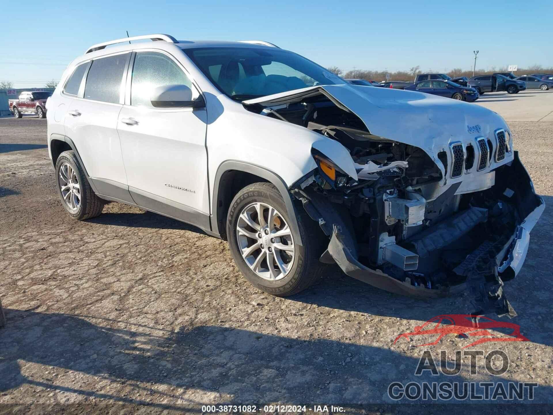 JEEP CHEROKEE 2019 - 1C4PJLCB1KD332793