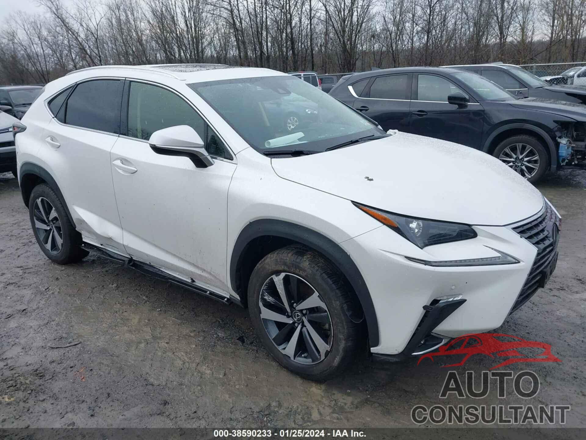 LEXUS NX 300 2021 - JTJGARDZ9M5025977