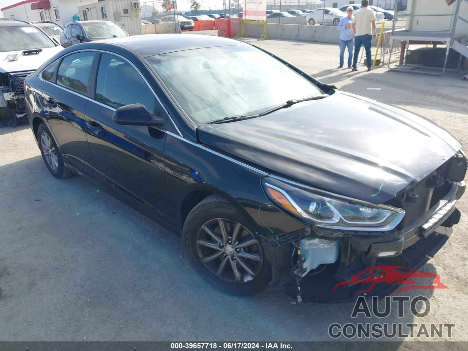 HYUNDAI SONATA 2019 - 5NPE24AF3KH744899