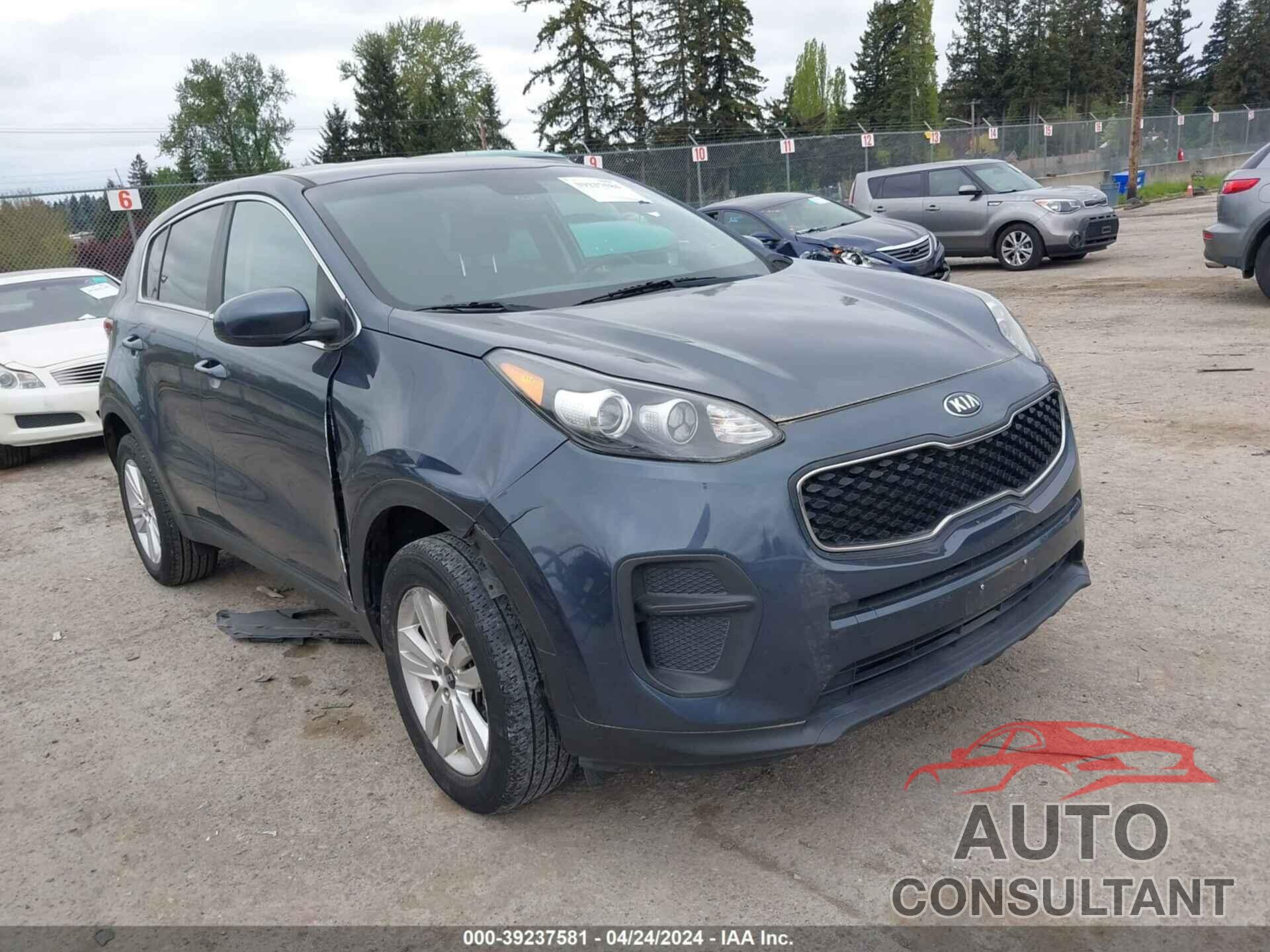 KIA SPORTAGE 2019 - KNDPM3AC2K7509336