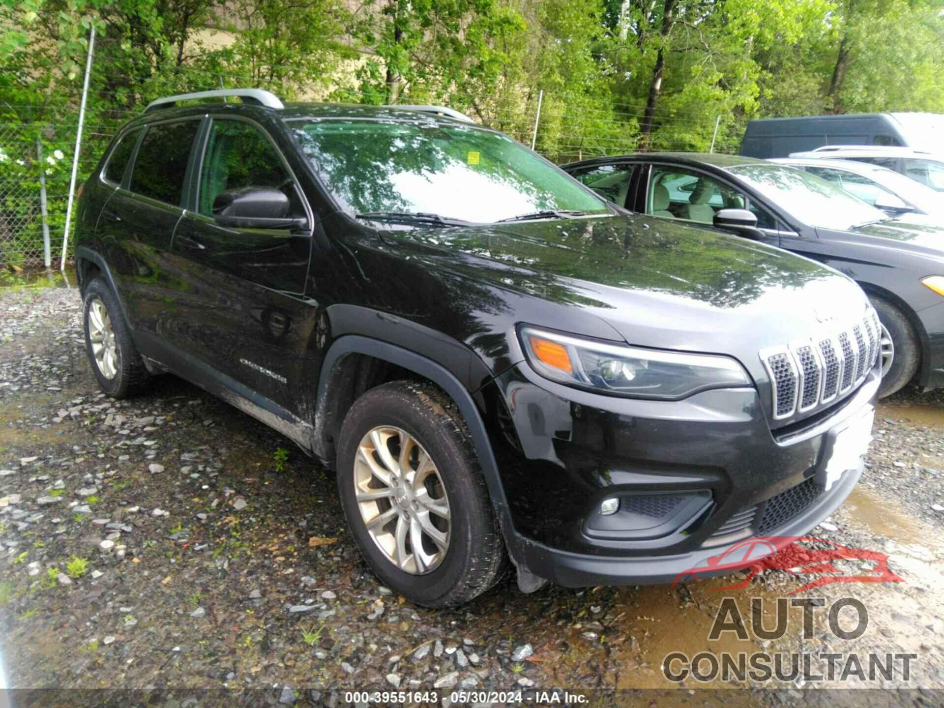 JEEP CHEROKEE 2019 - 1C4PJMCB1KD450929