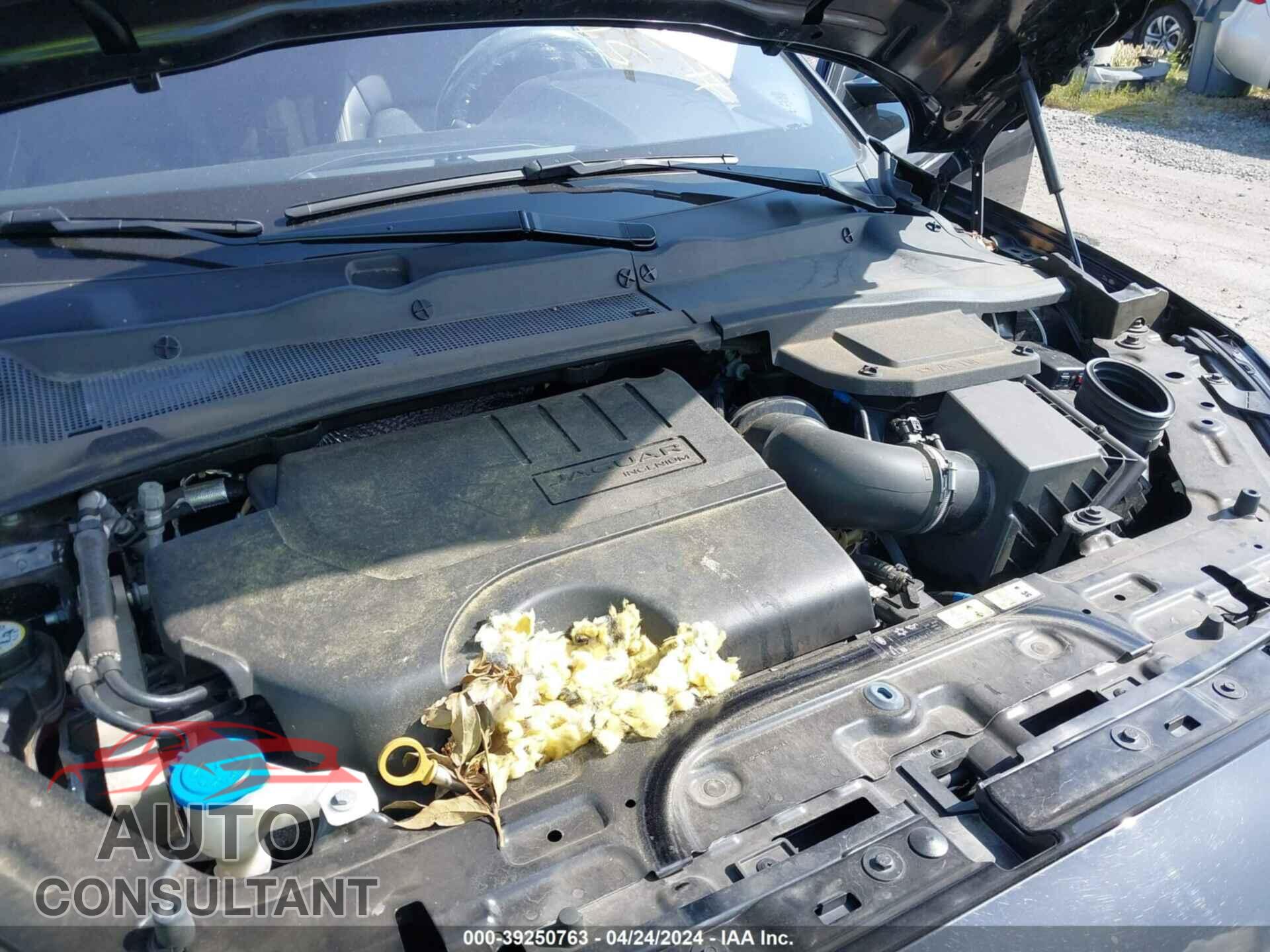 JAGUAR E-PACE 2020 - SADFK2FX5L1Z76881