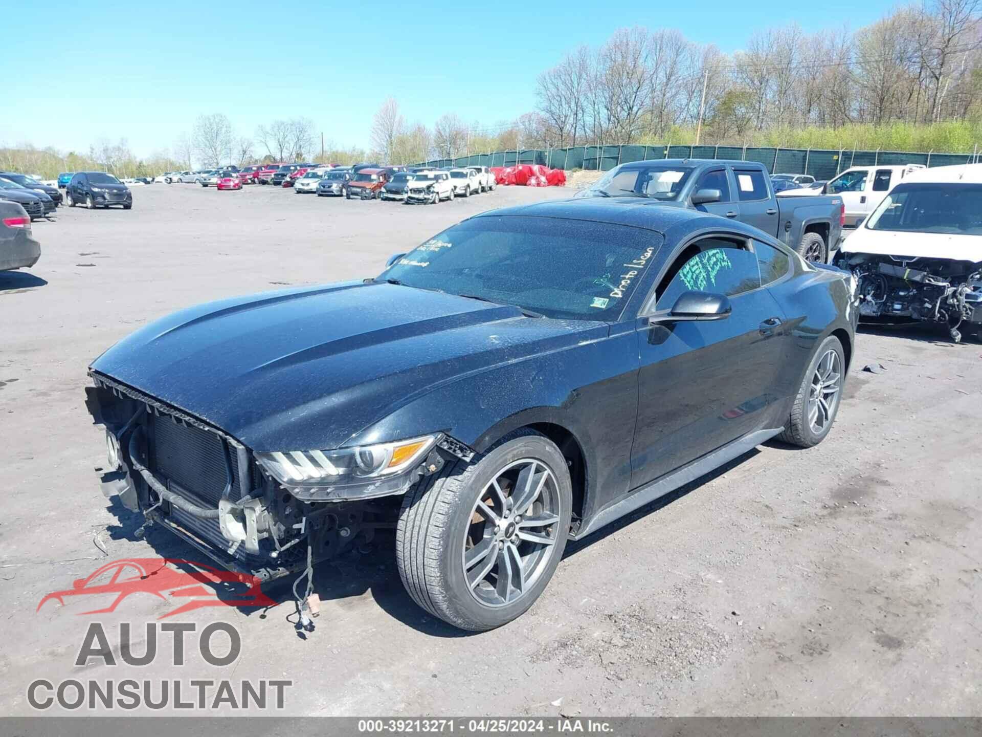 FORD MUSTANG 2017 - 1FA6P8TH6H5313175