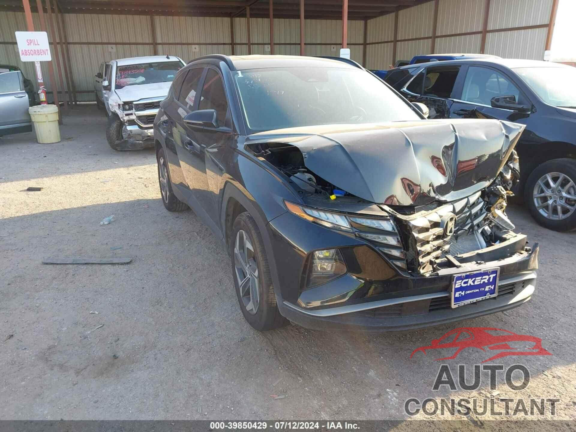 HYUNDAI TUCSON 2024 - 5NMJF3DE5RH351719