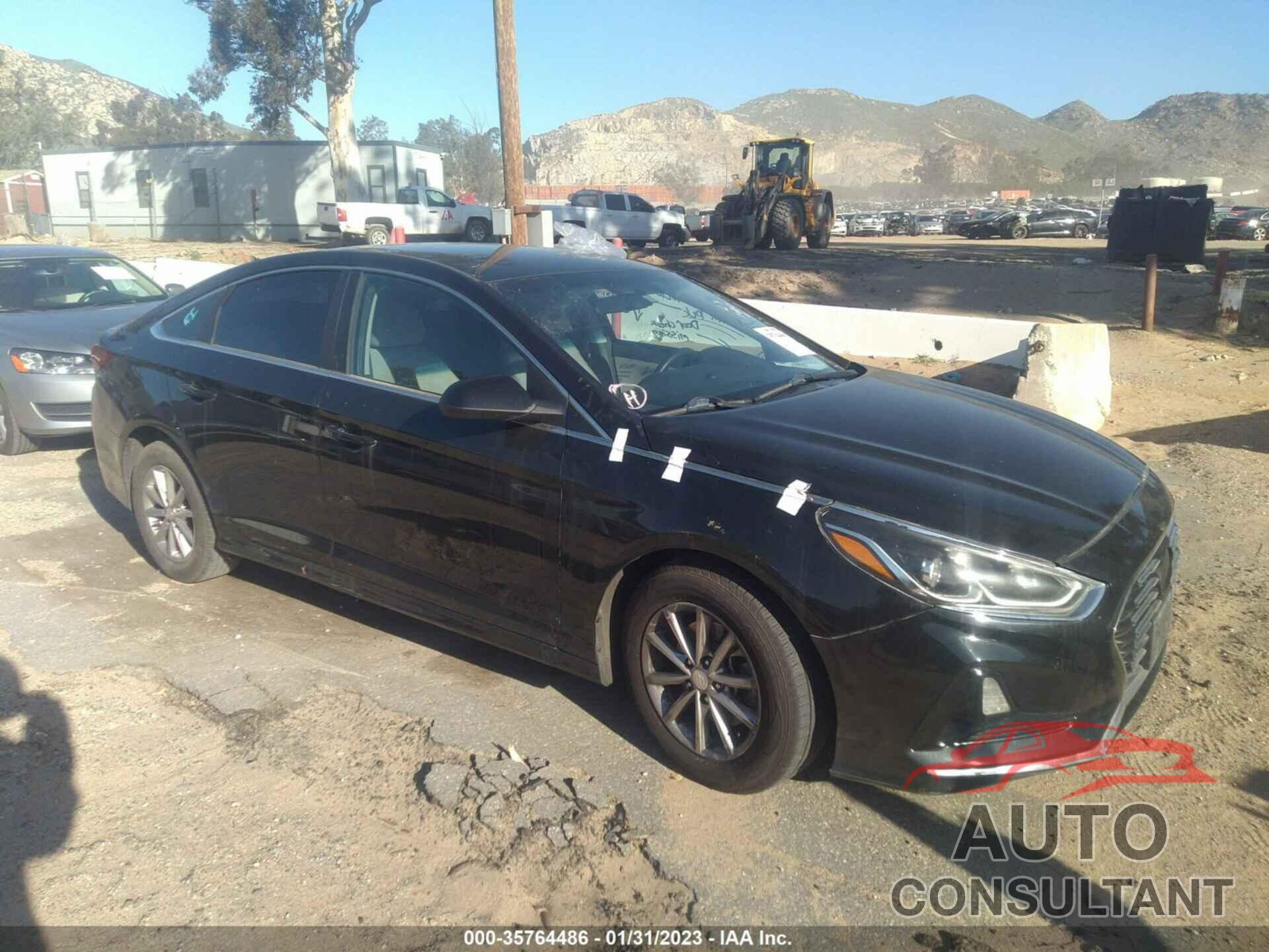 HYUNDAI SONATA 2019 - 5NPE24AF5KH752342