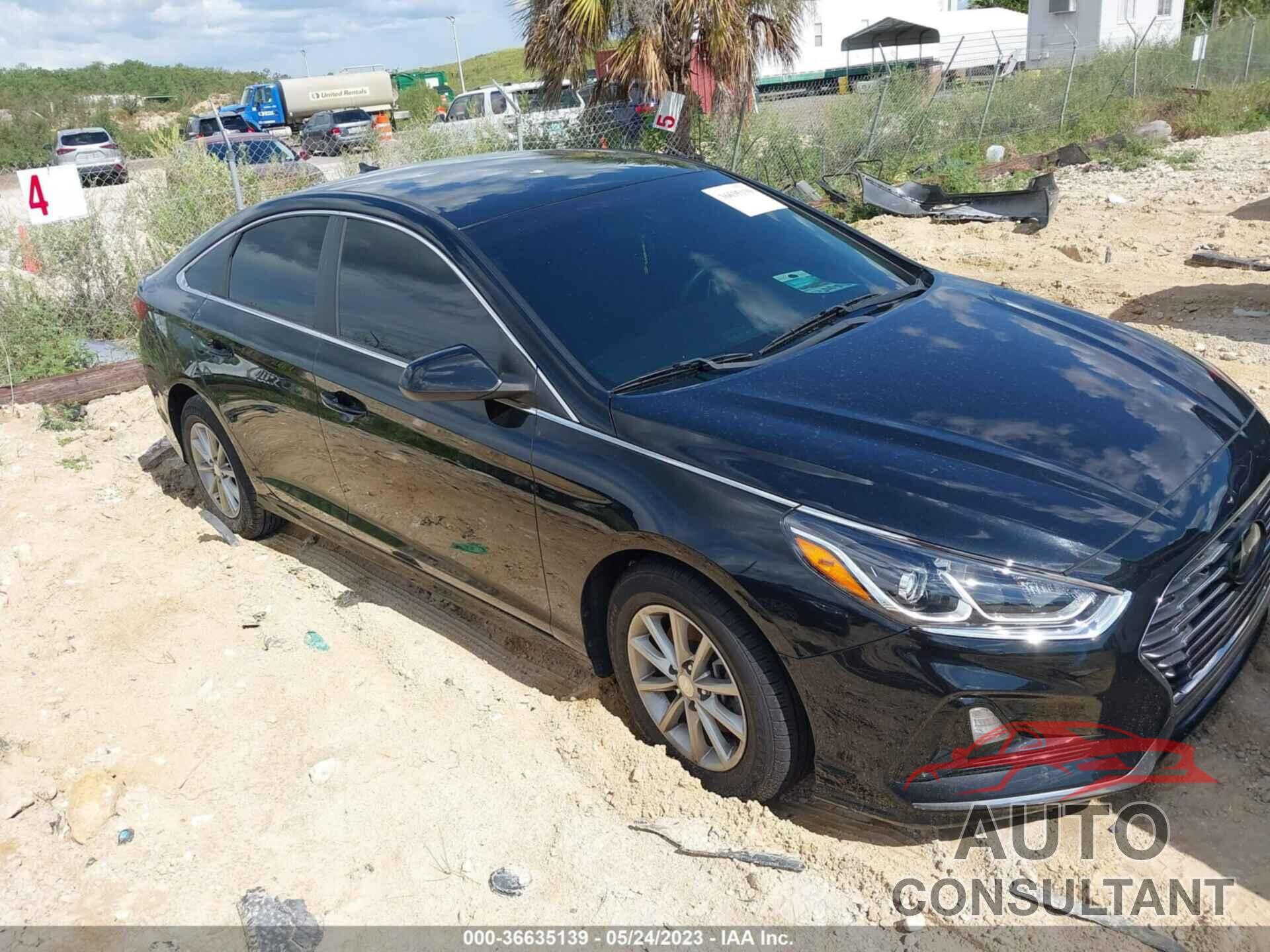 HYUNDAI SONATA 2019 - 5NPE24AF7KH739303