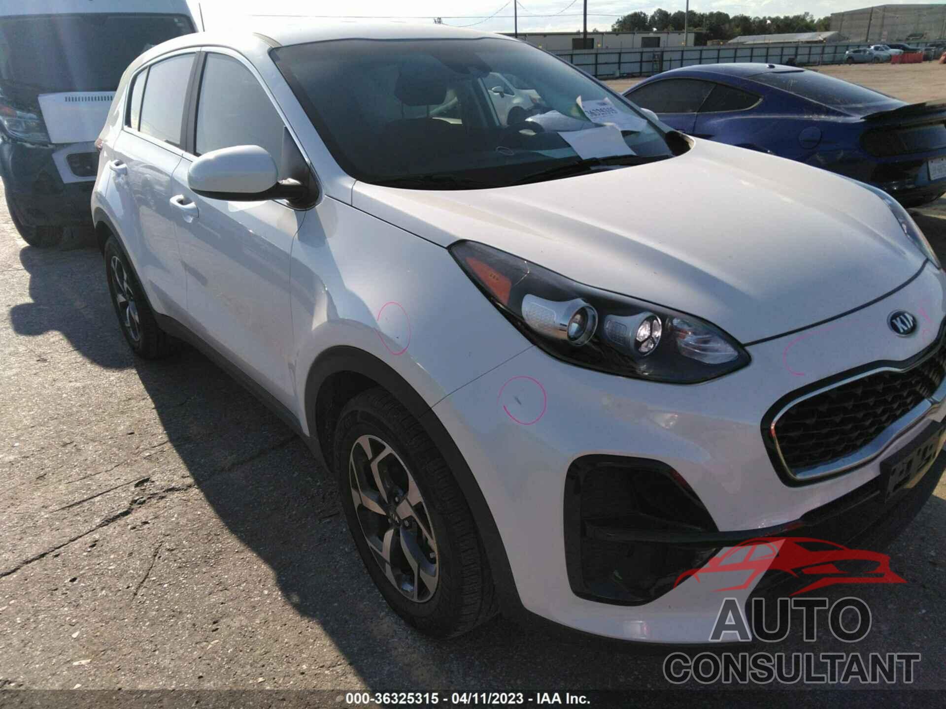 KIA SPORTAGE 2022 - KNDPM3AC7N7012531