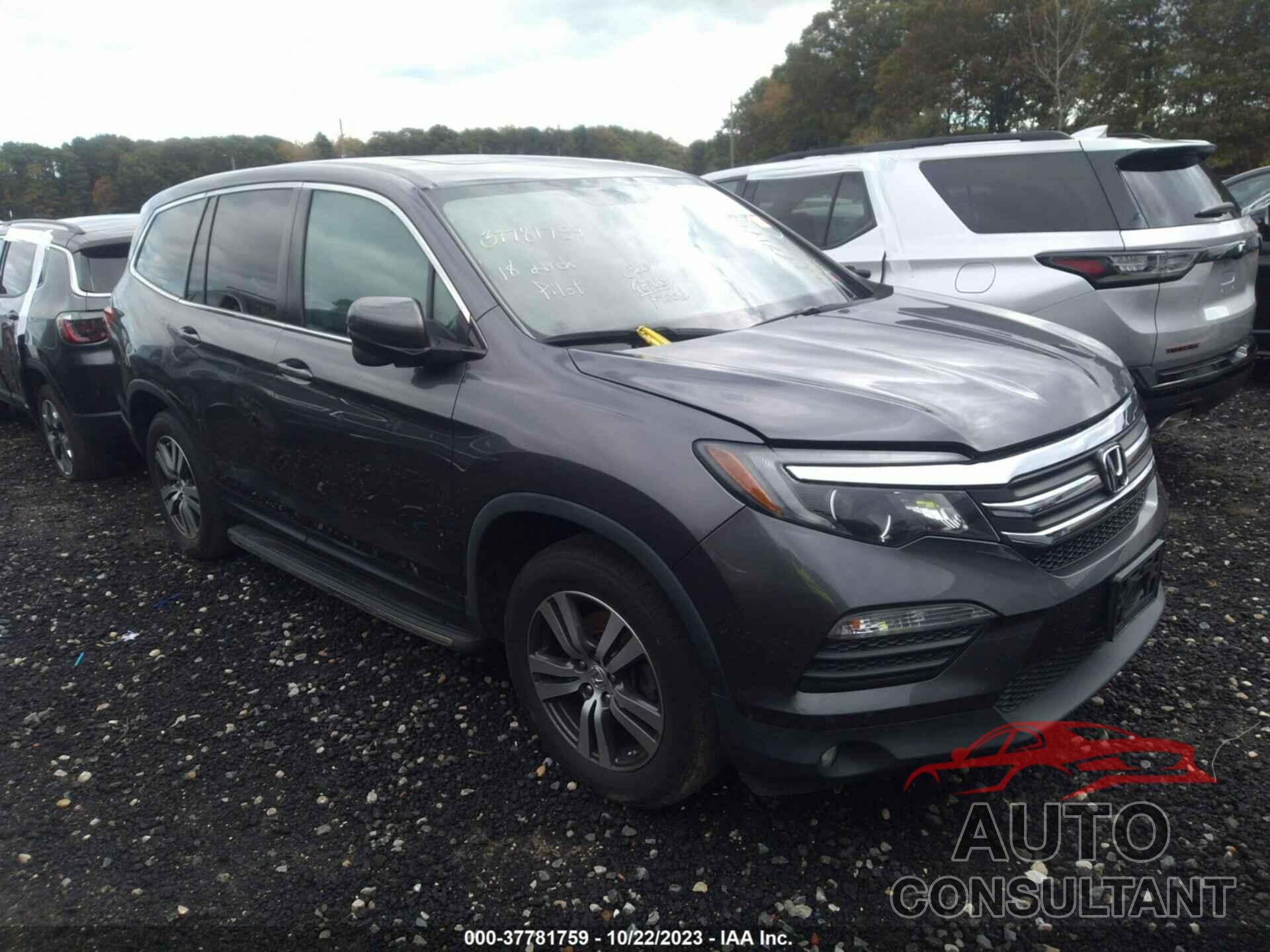 HONDA PILOT 2018 - 5FNYF6H58JB010119