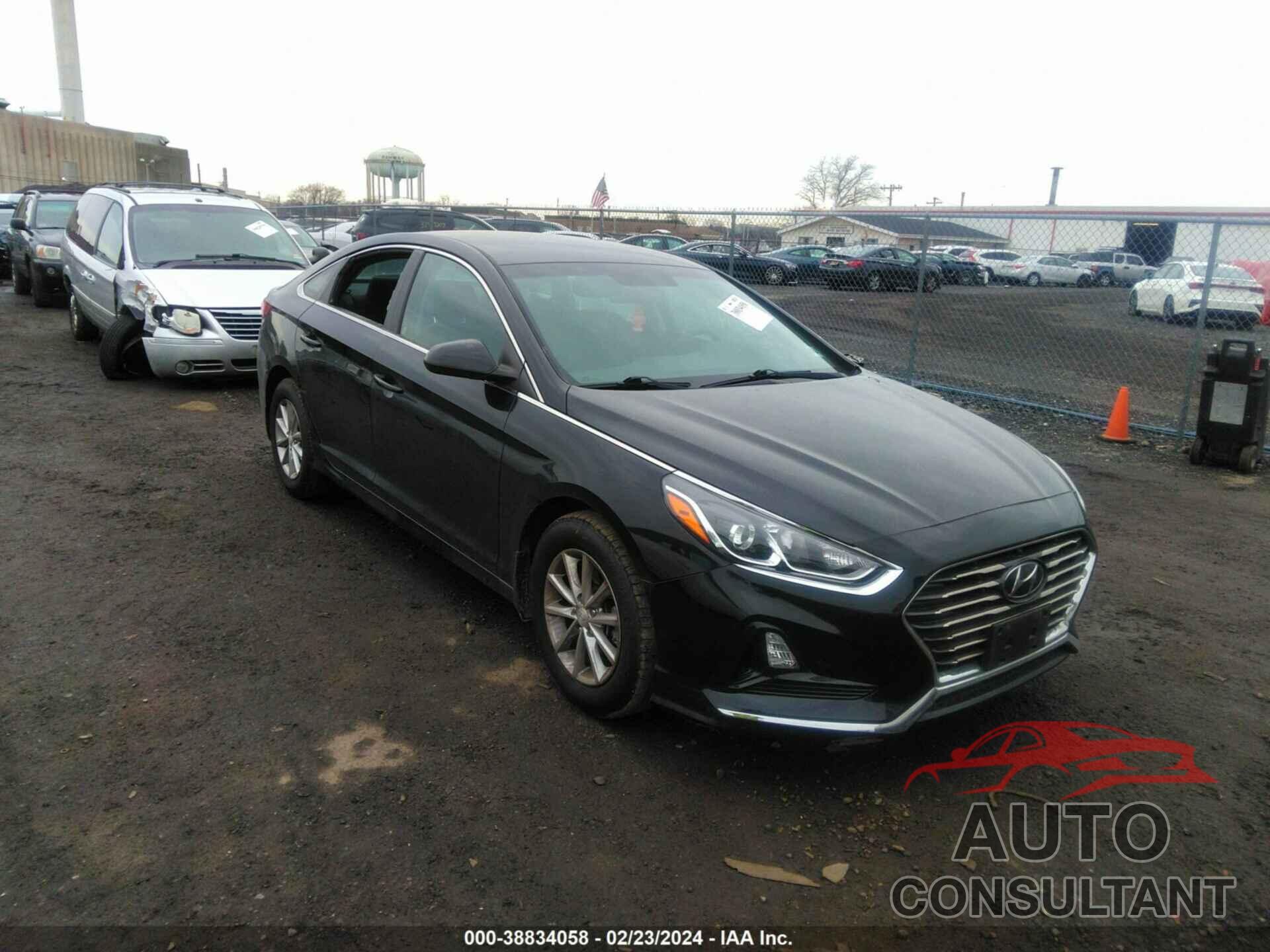 HYUNDAI SONATA 2019 - 5NPE24AFXKH808940