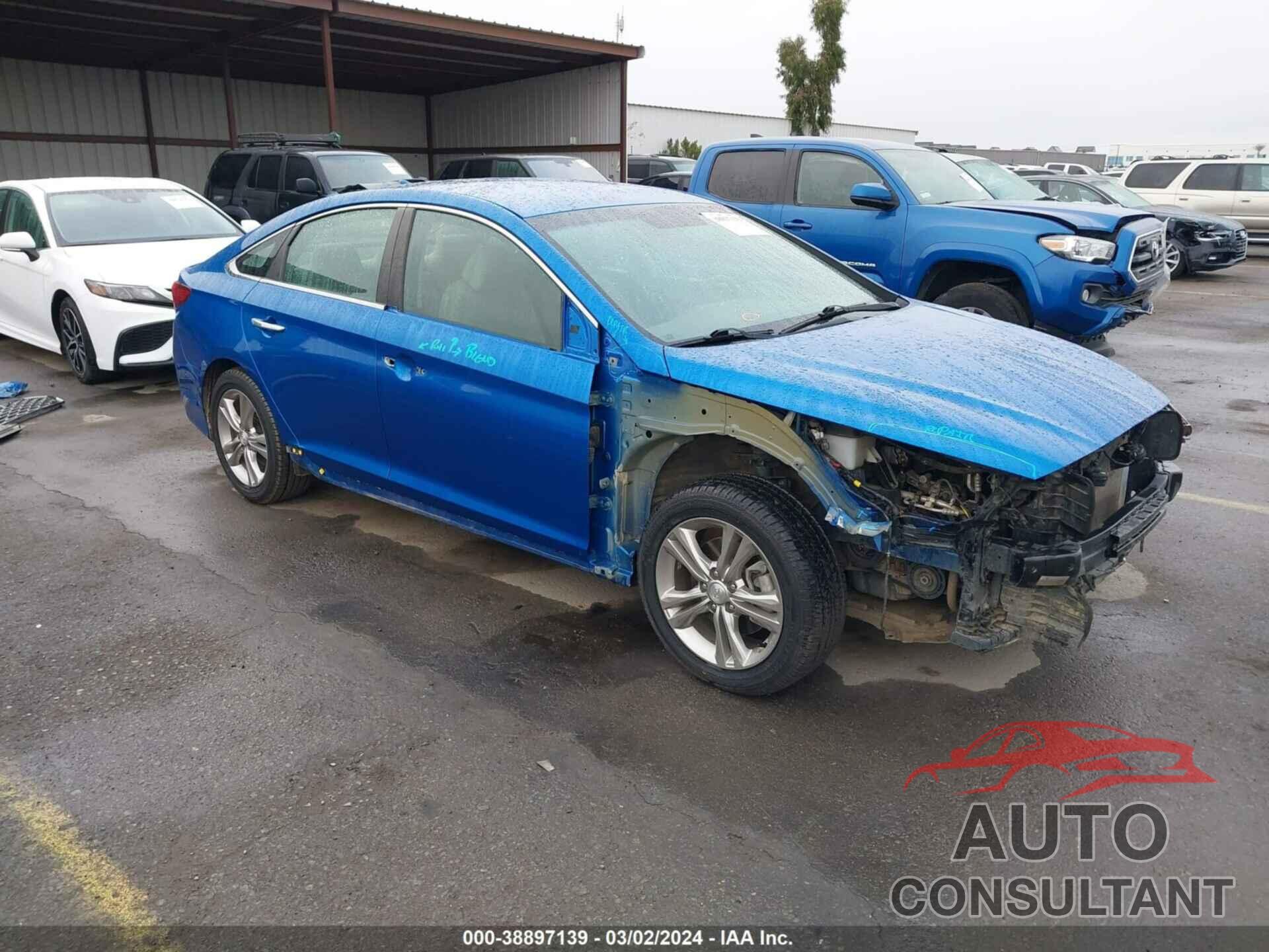 HYUNDAI SONATA 2019 - 5NPE34AF2KH782895