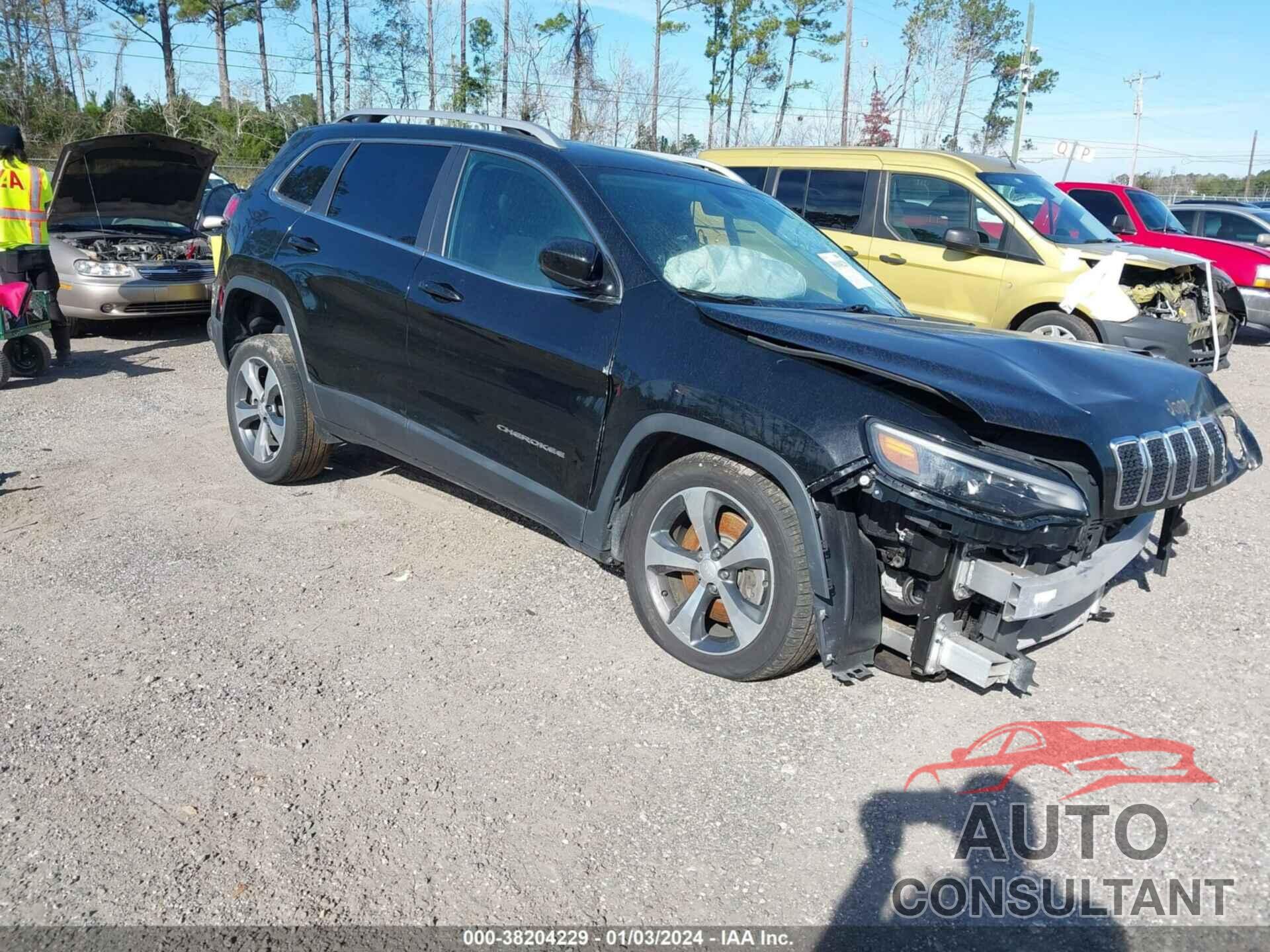 JEEP CHEROKEE 2019 - 1C4PJLDB8KD242488