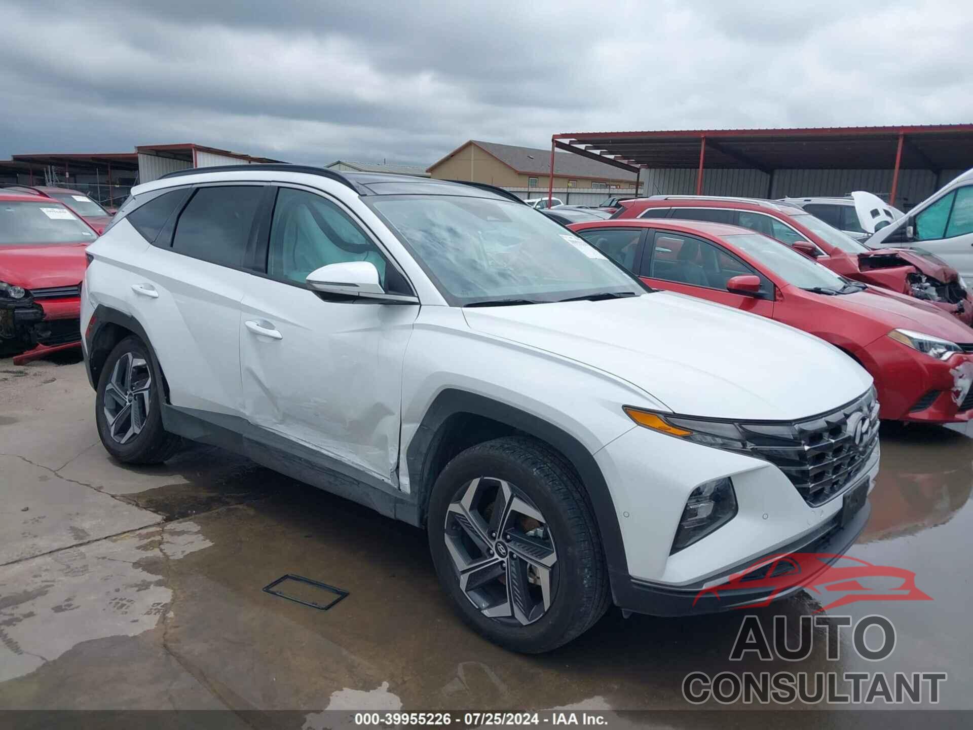 HYUNDAI TUCSON HYBRID 2023 - KM8JECA19PU124152