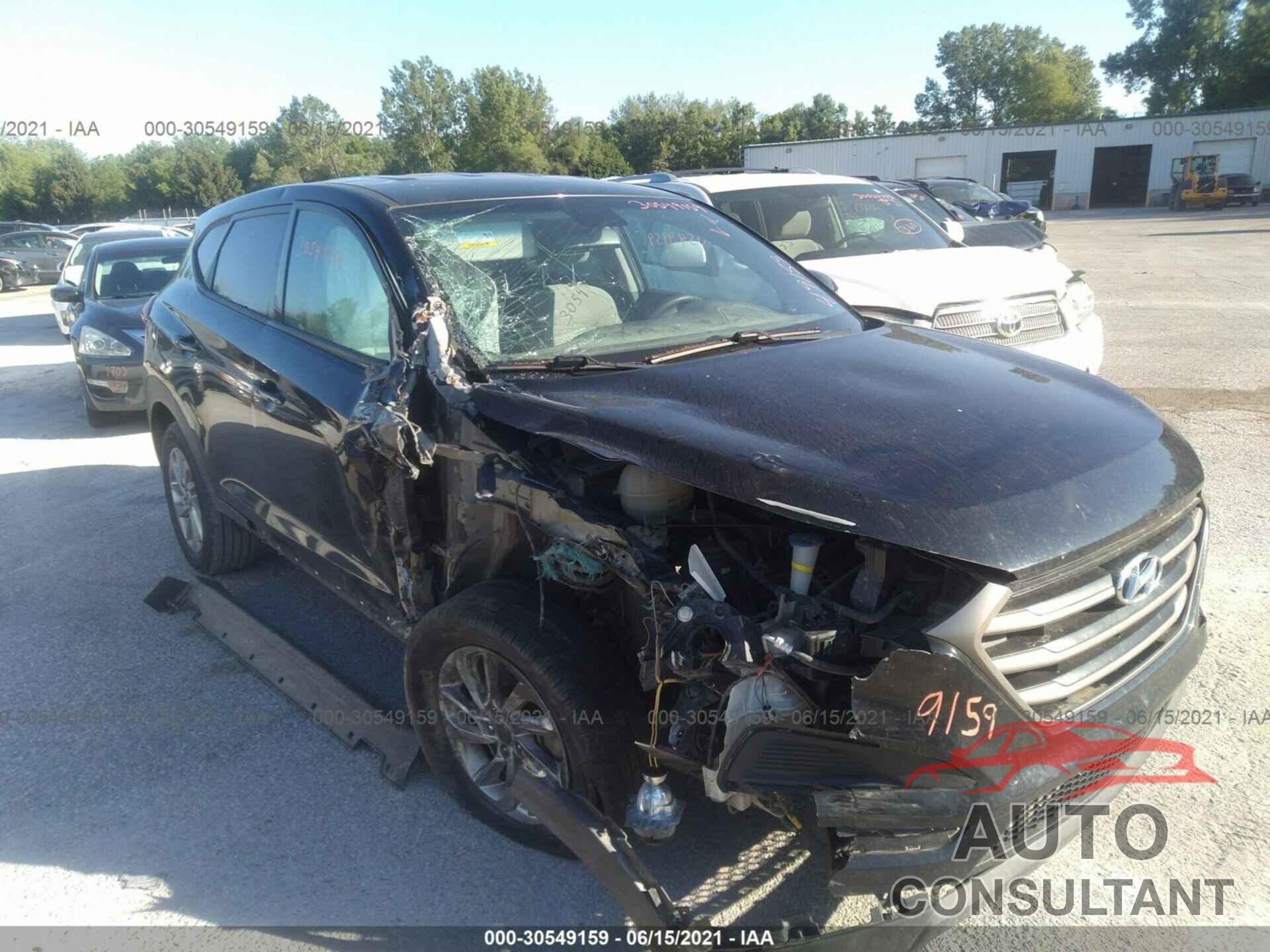 HYUNDAI TUCSON 2016 - KM8J23A46GU233252