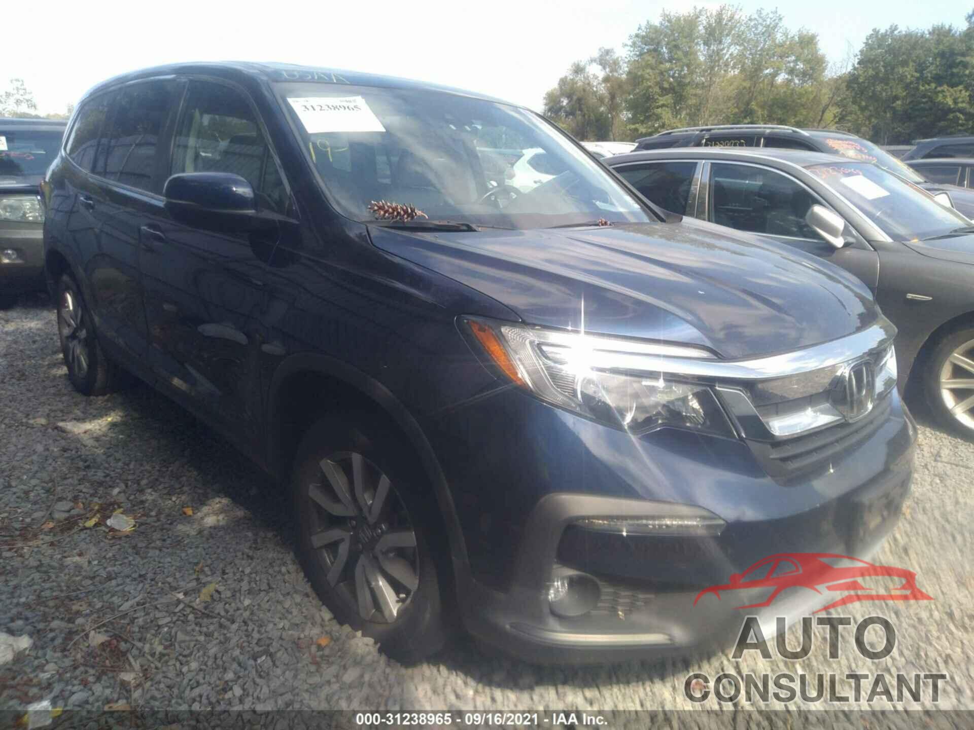 HONDA PILOT 2019 - 5FNYF6H58KB044224