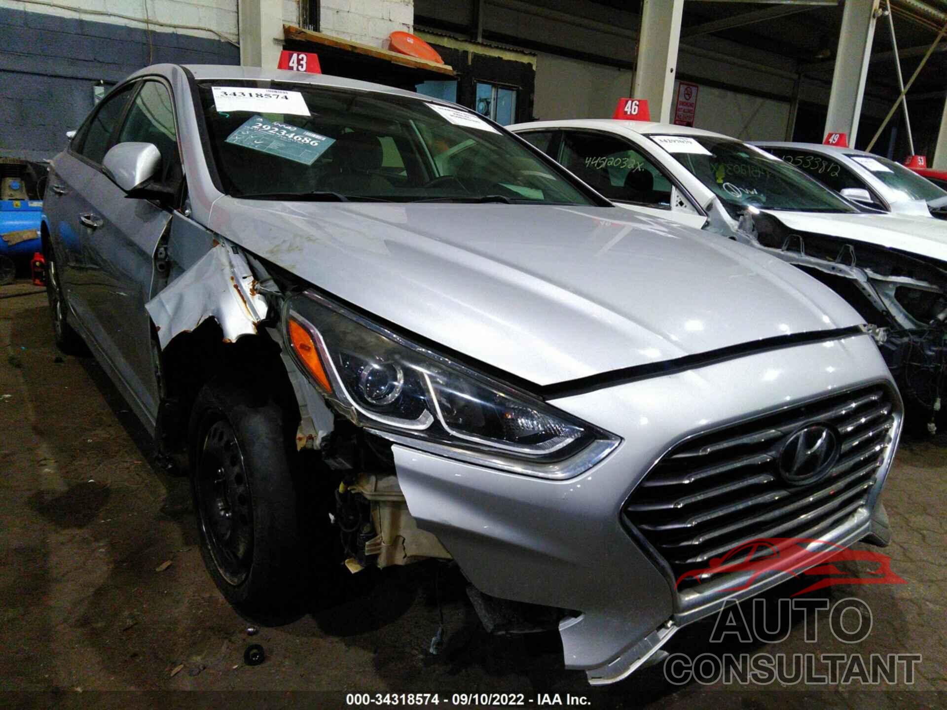 HYUNDAI SONATA 2018 - 00PE34AF6JH635932