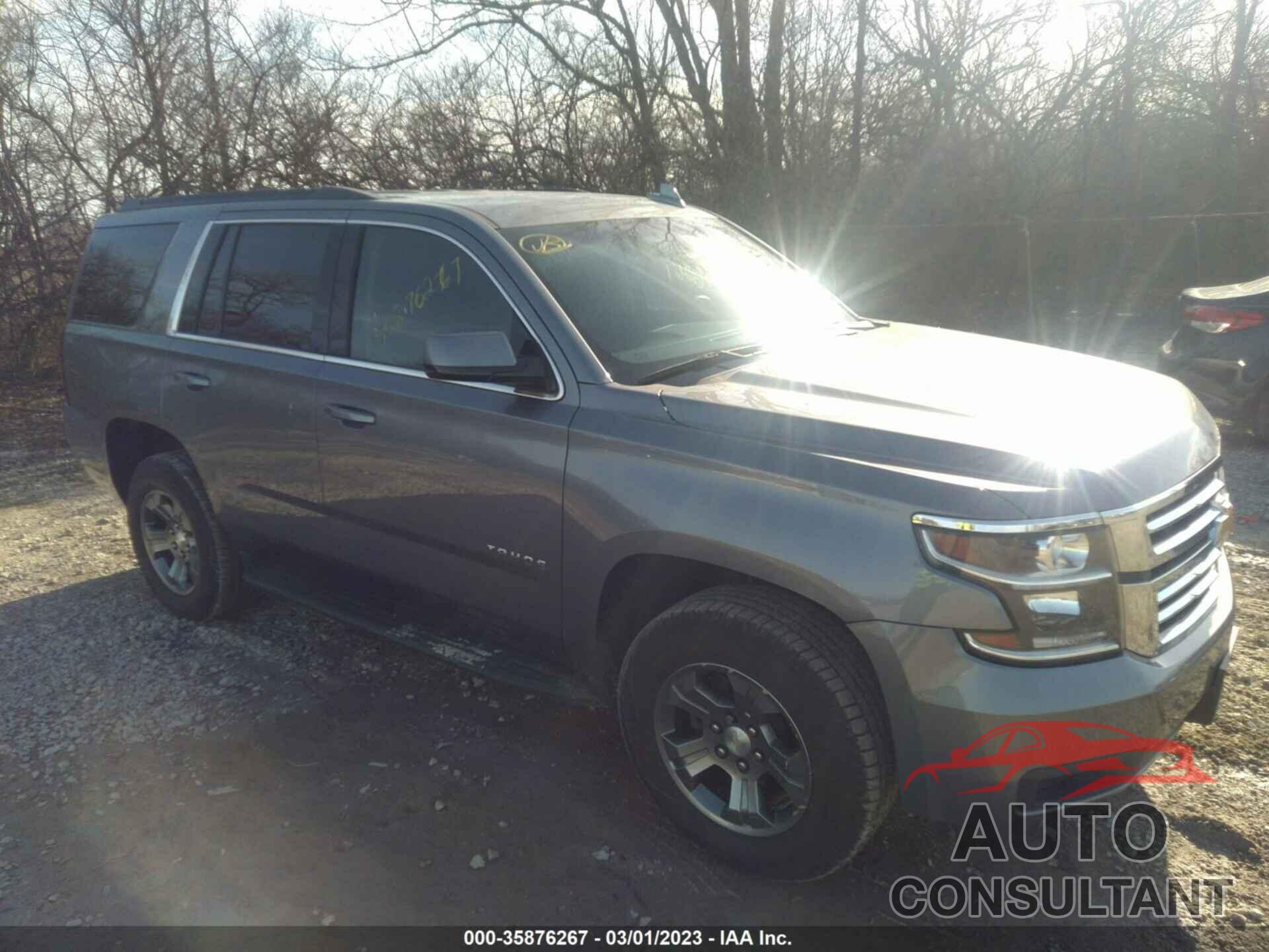 CHEVROLET TAHOE 2019 - 1GNSKAKC7KR346939