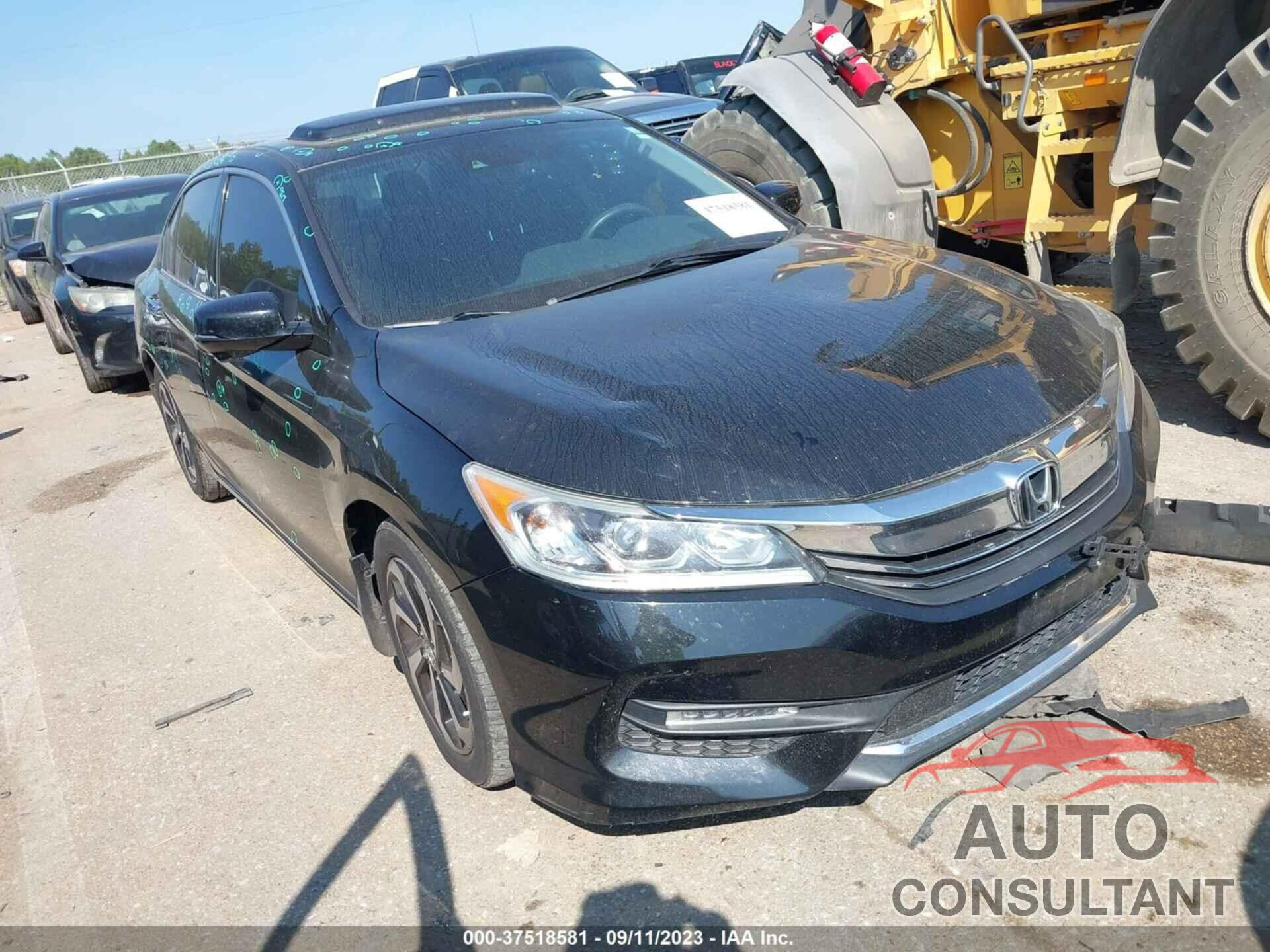 HONDA ACCORD 2016 - 1HGCR3F0XGA025456