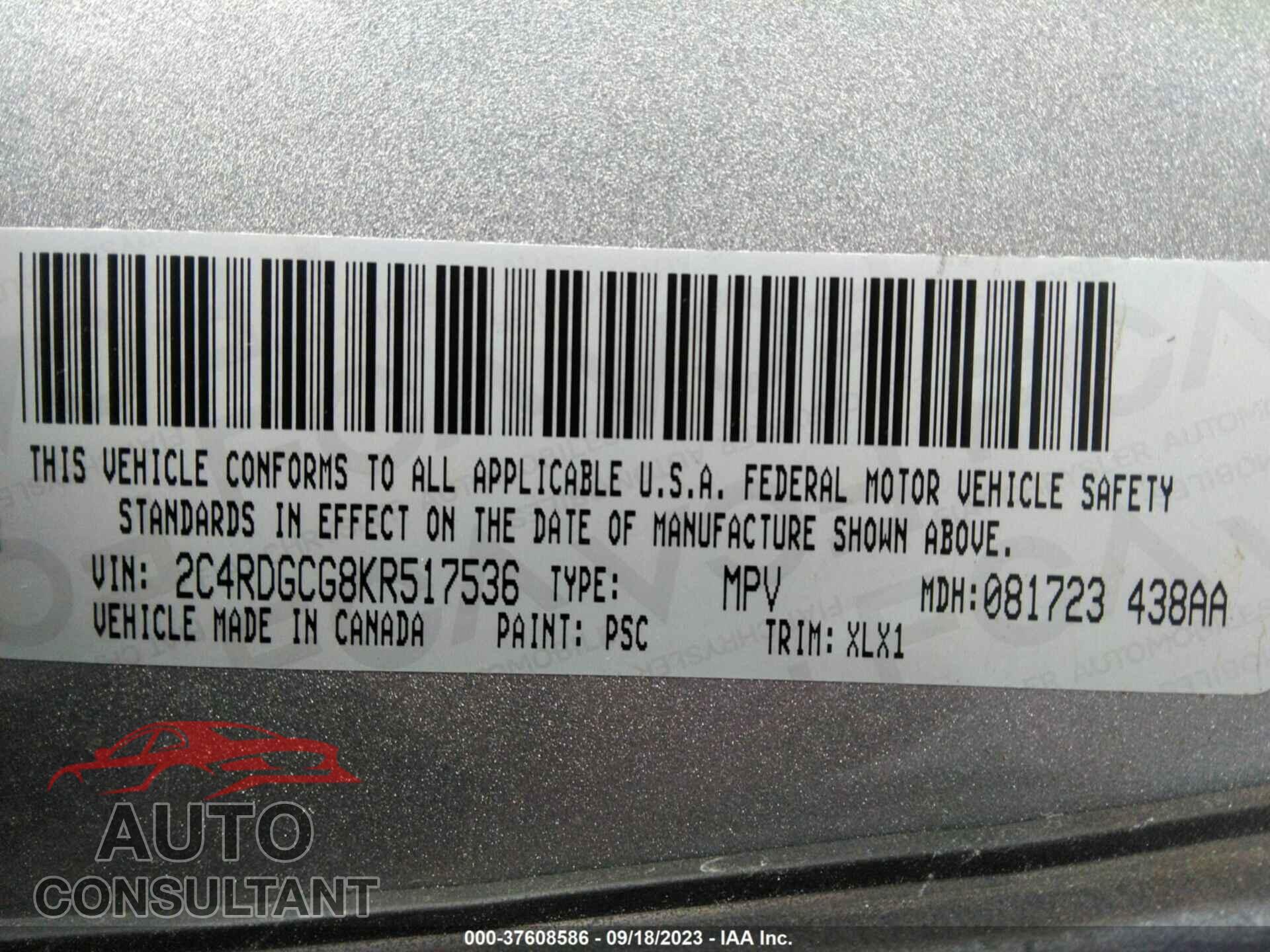 DODGE GRAND CARAVAN 2019 - 2C4RDGCG8KR517536