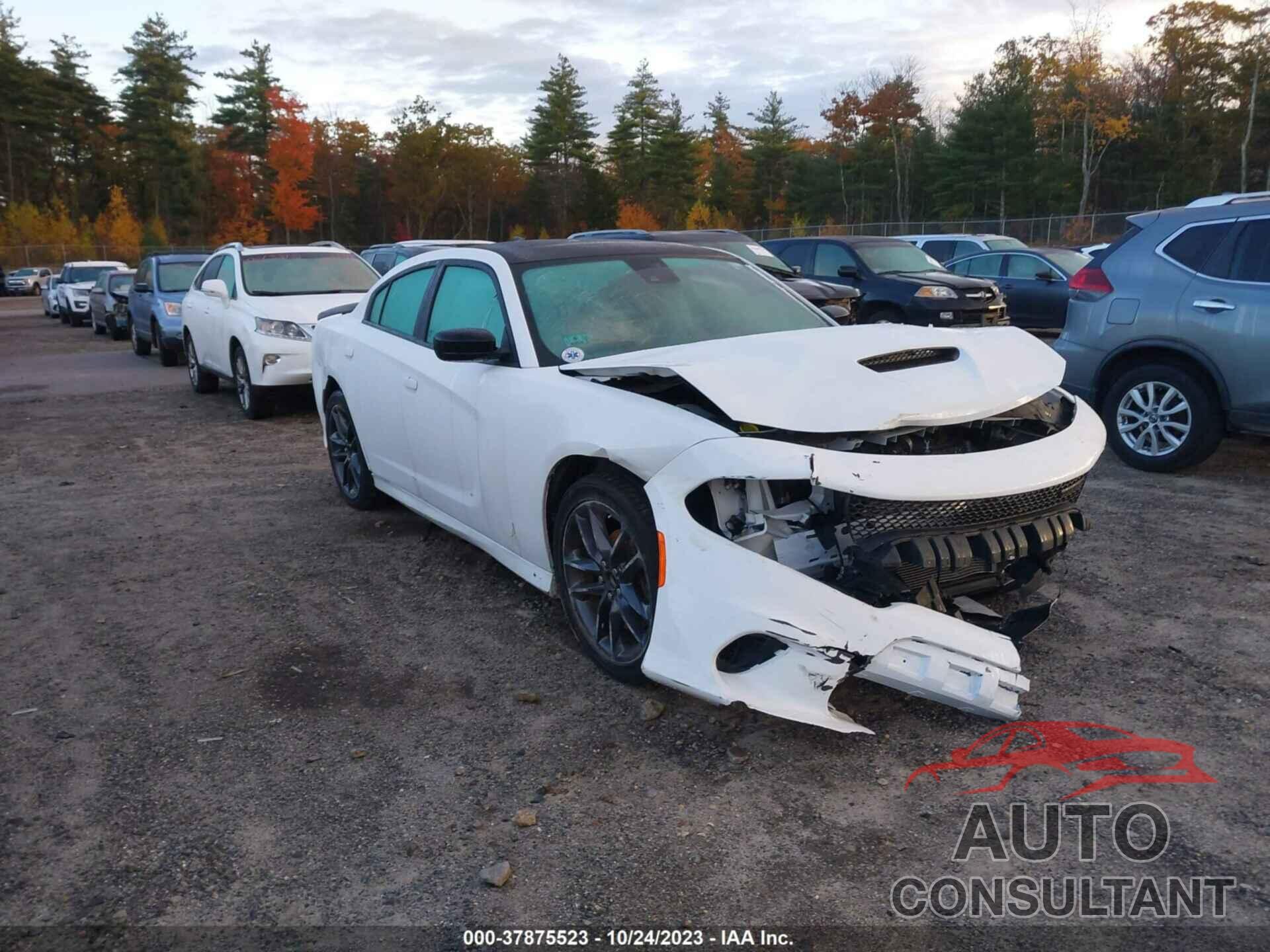 DODGE CHARGER 2021 - 2C3CDXMG3MH528803