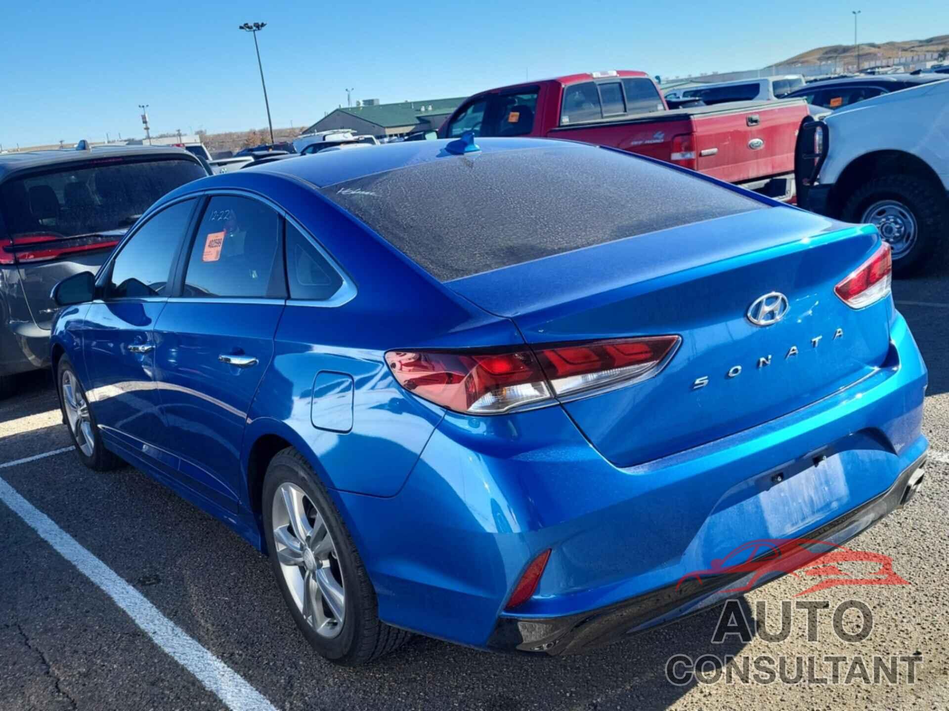HYUNDAI SONATA 2019 - 5NPE34AF7KH753313