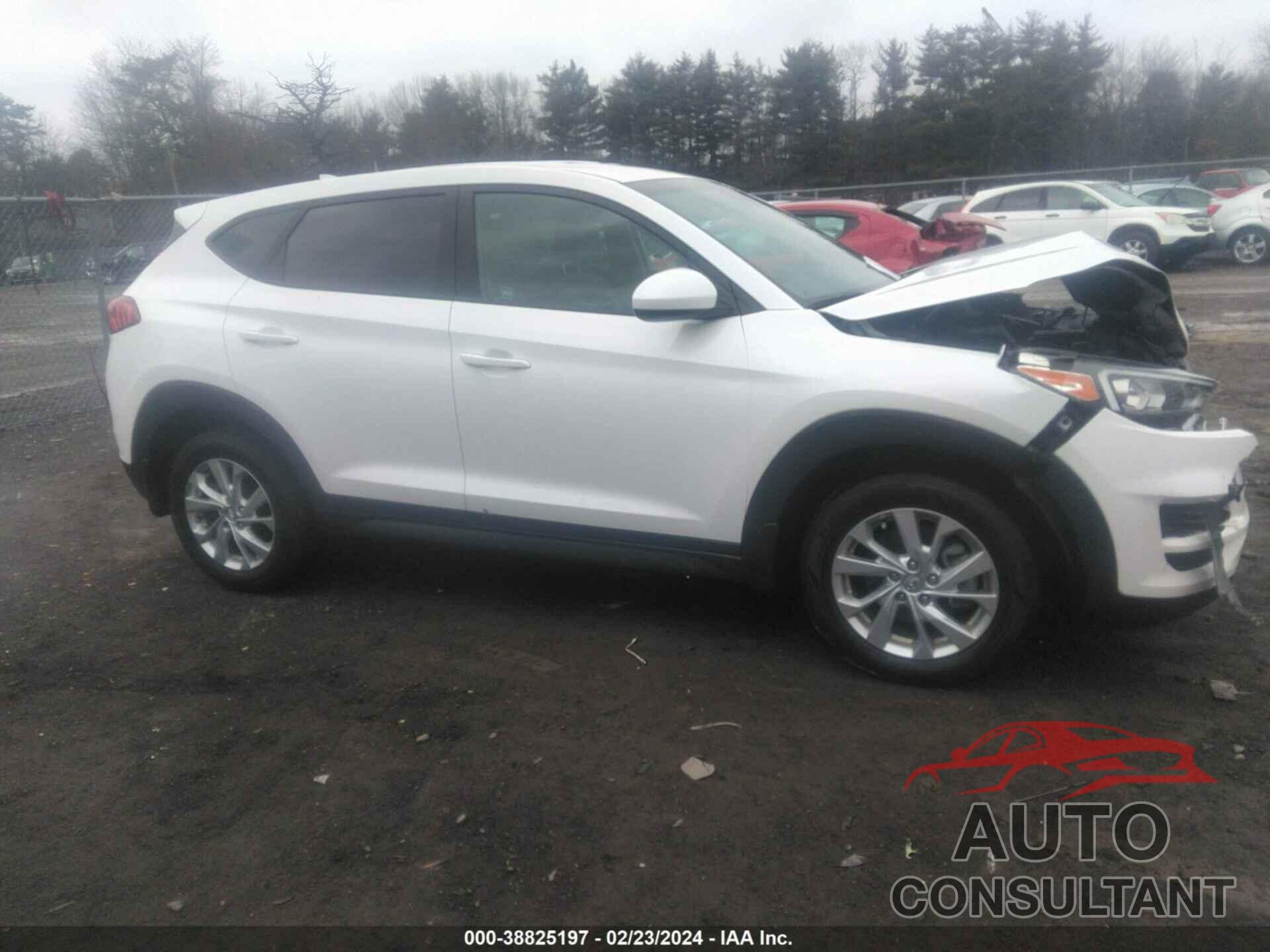 HYUNDAI TUCSON 2019 - KM8J2CA42KU064808