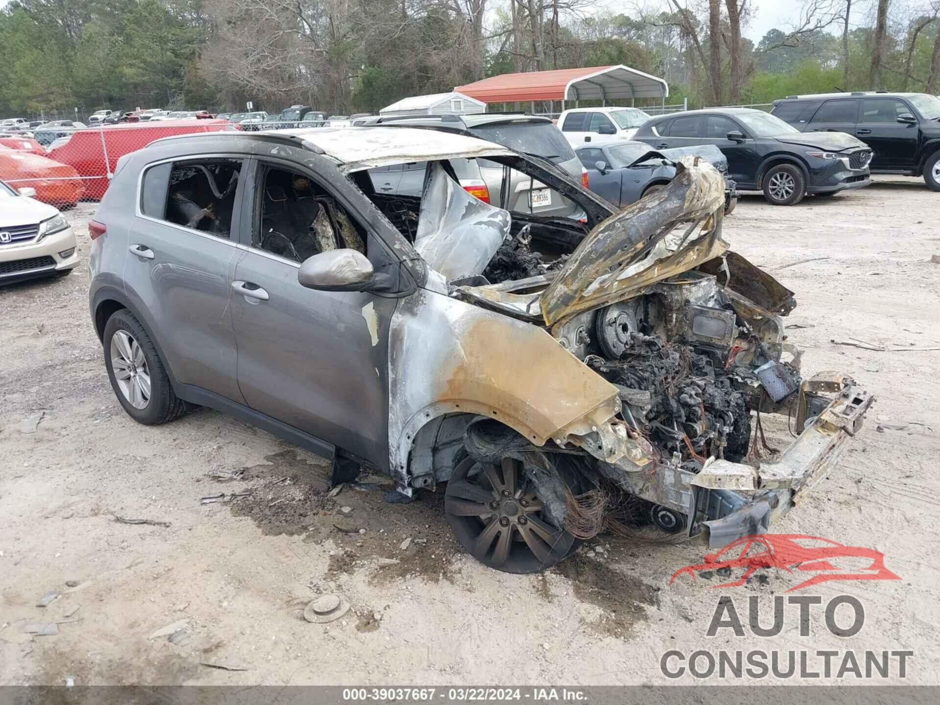 KIA SPORTAGE 2017 - KNDPM3AC6H7238340