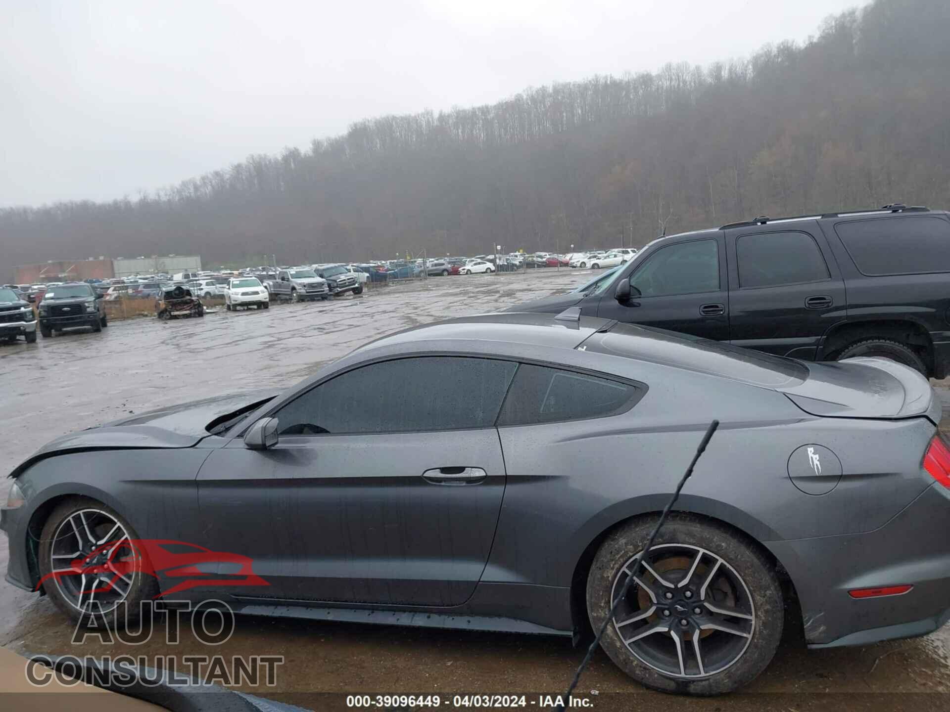 FORD MUSTANG 2021 - 1FA6P8TH6M5114072