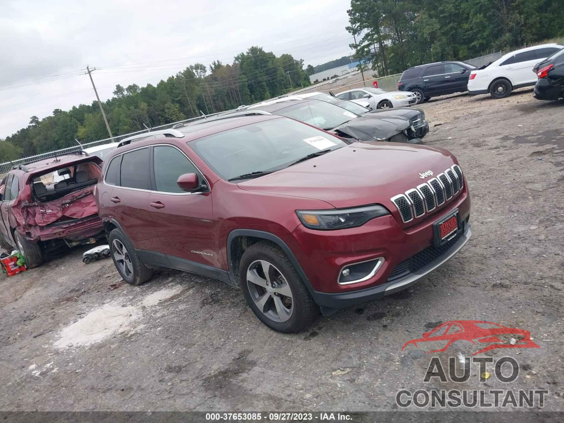 JEEP CHEROKEE 2019 - 1C4PJMDN1KD295453