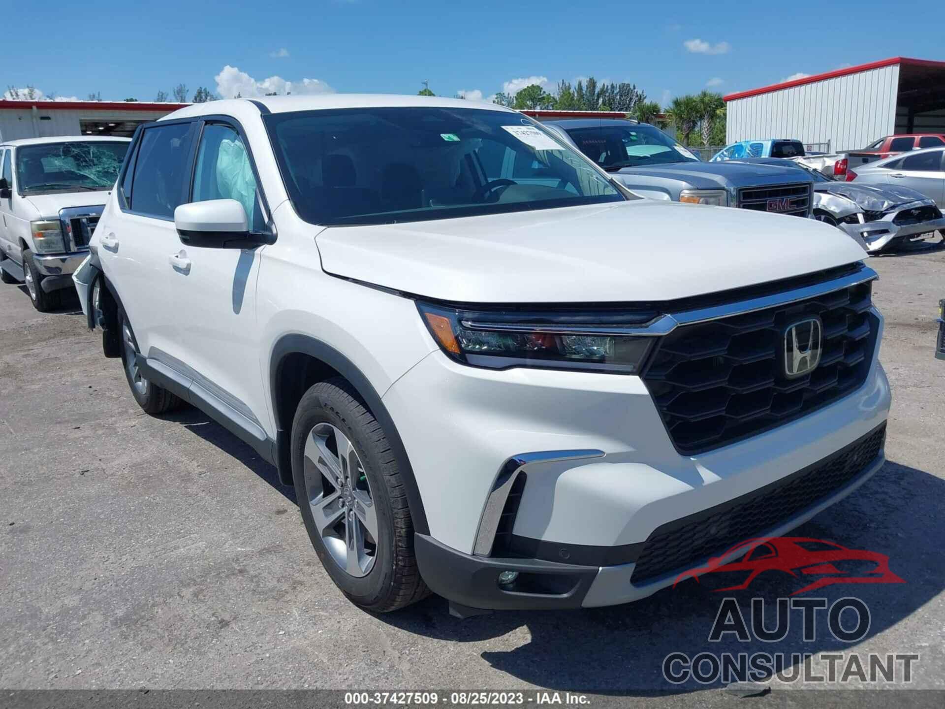 HONDA PILOT 2023 - 5FNYG1H46PB043409