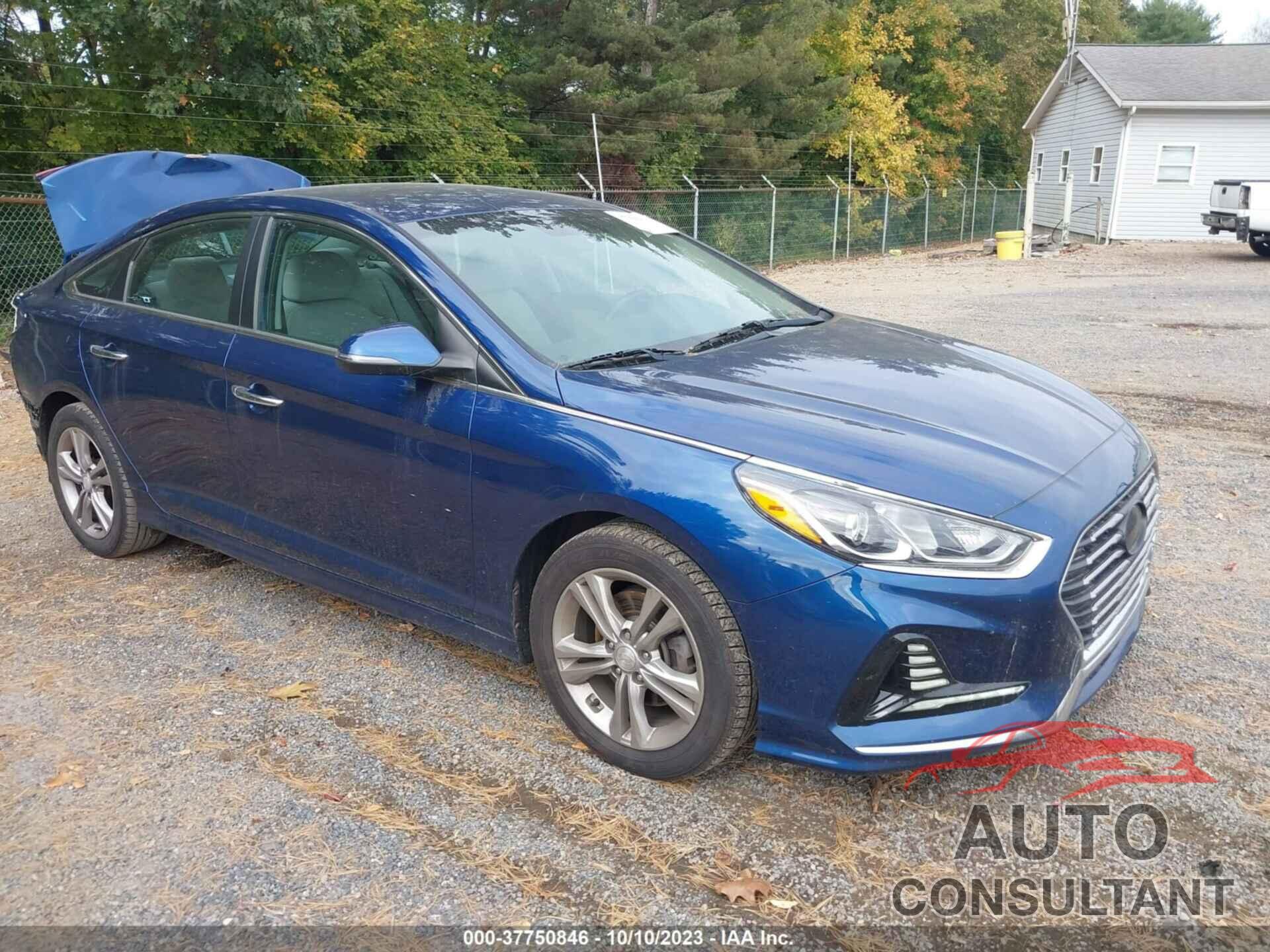 HYUNDAI SONATA 2018 - 5NPE34AF6JH611355