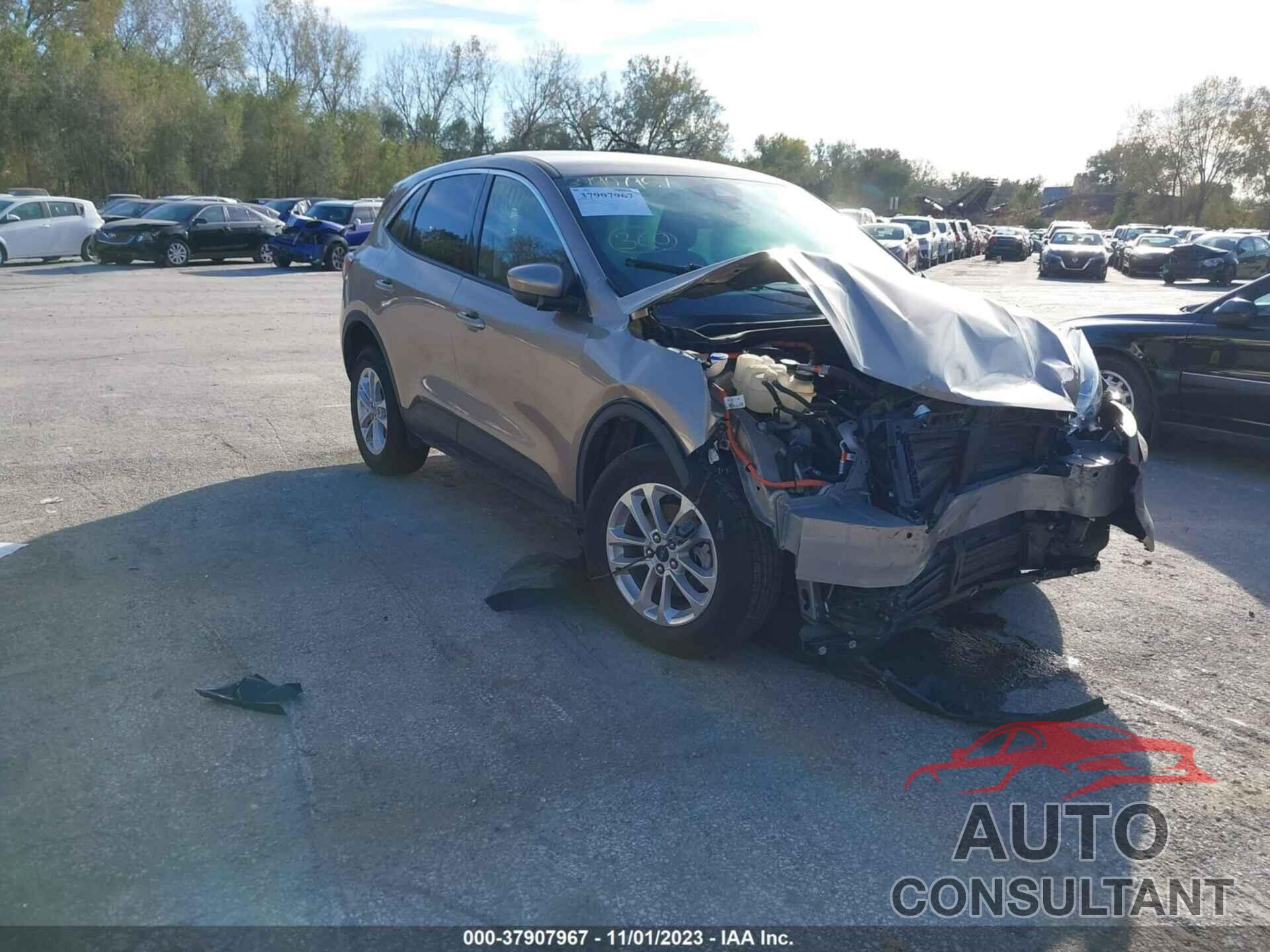 FORD ESCAPE 2021 - 1FMCU9BZ2MUA61829