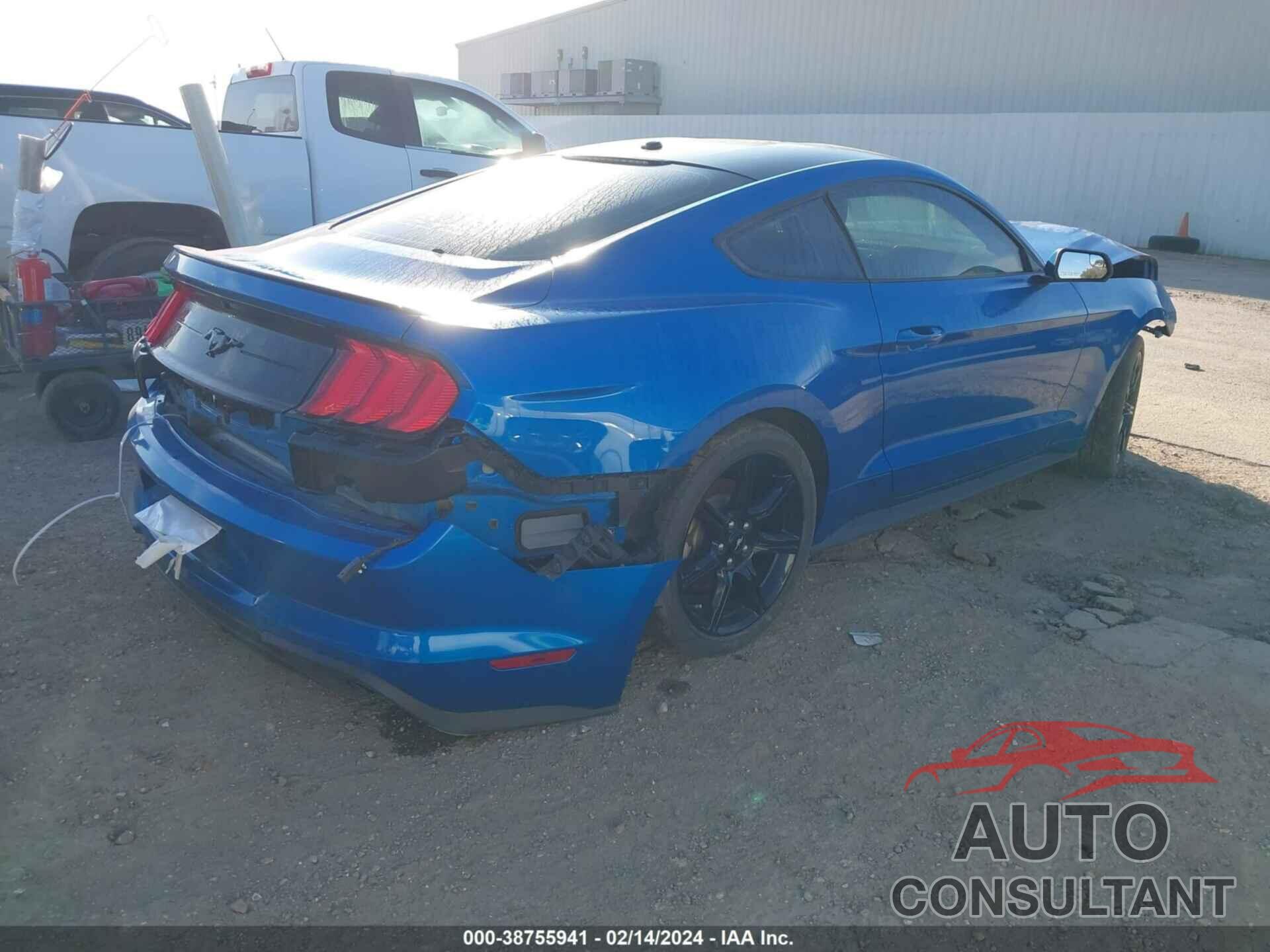 FORD MUSTANG 2019 - 1FA6P8TH4K5185509