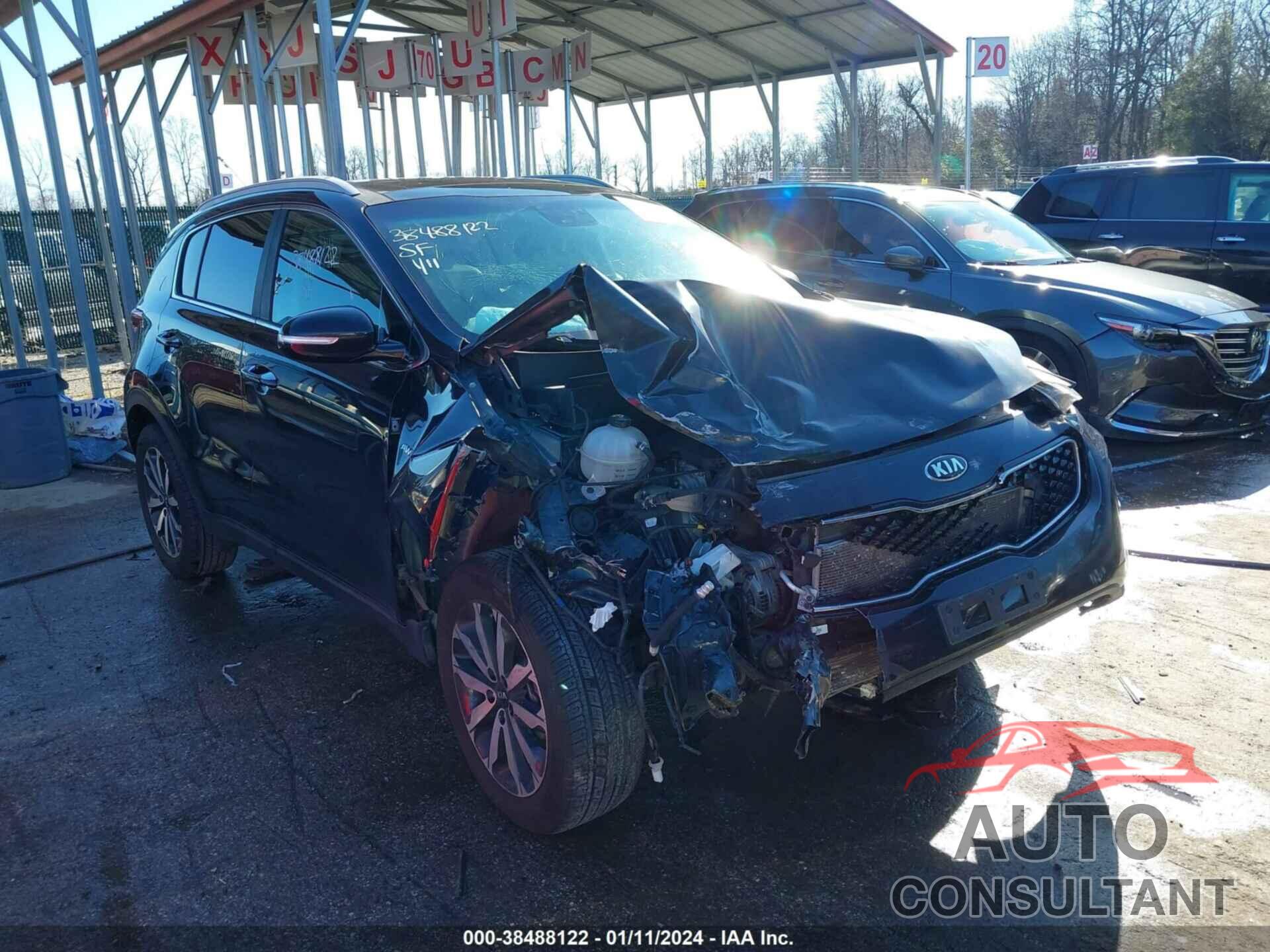 KIA SPORTAGE 2017 - KNDPNCAC5H7177656