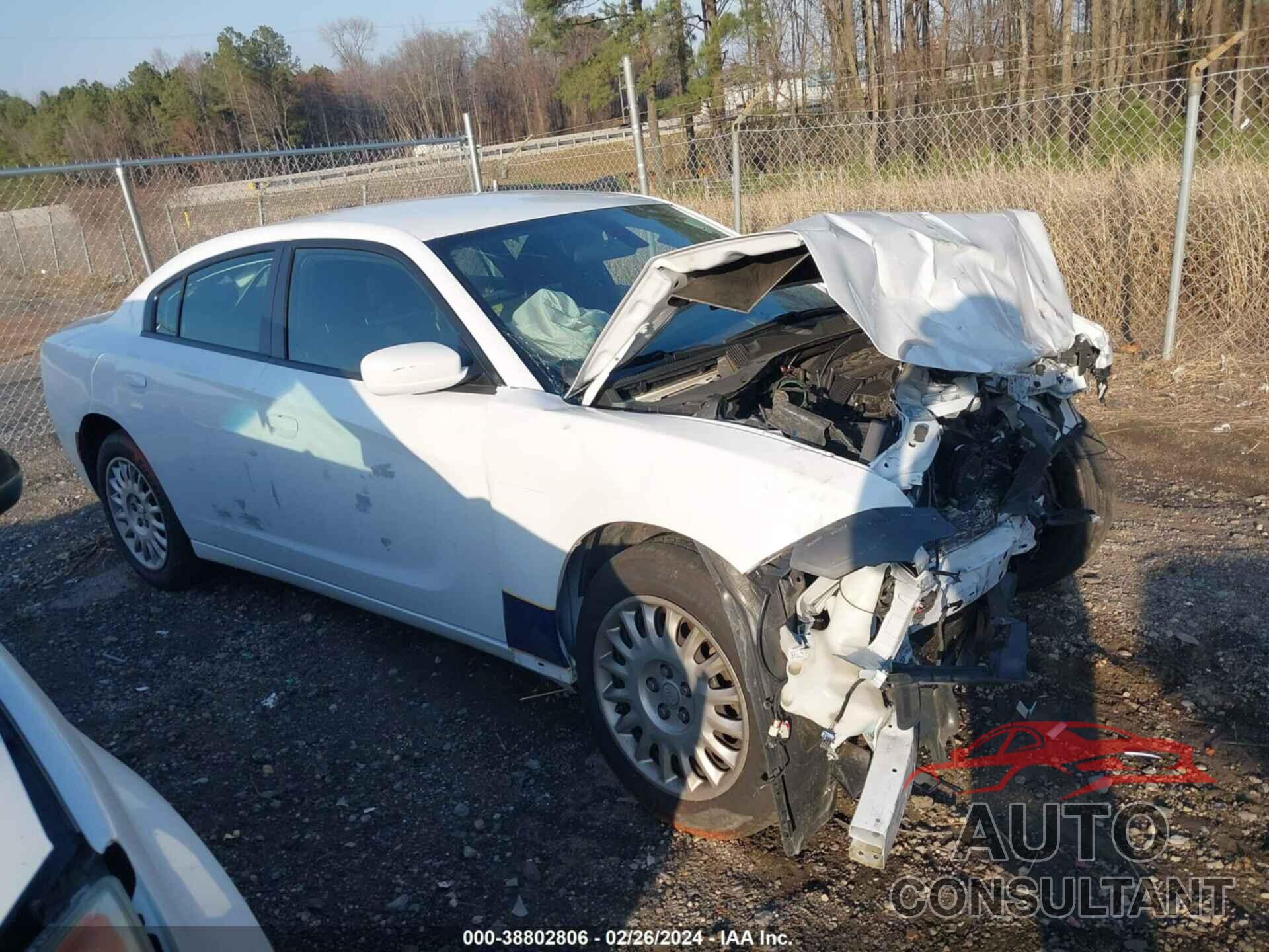 DODGE CHARGER 2021 - 2C3CDXKGXMH668916