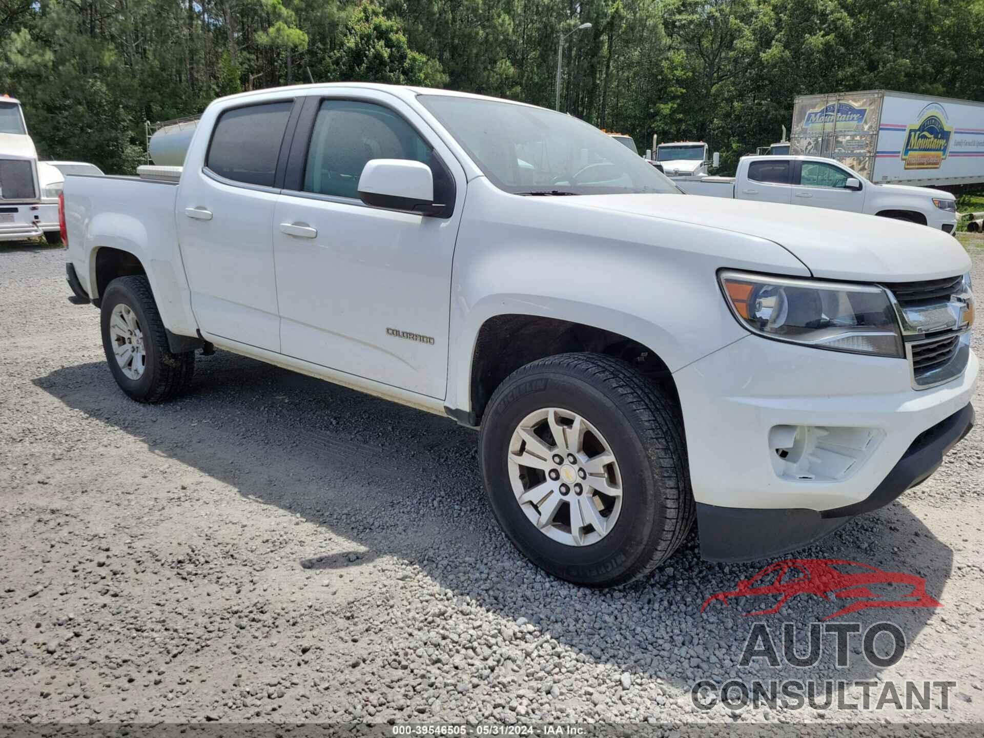 CHEVROLET COLORADO 2019 - 1GCGSCEN2K1103318