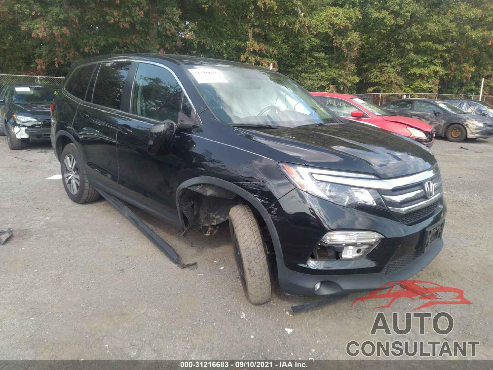 HONDA PILOT 2017 - 5FNYF6H52HB083934