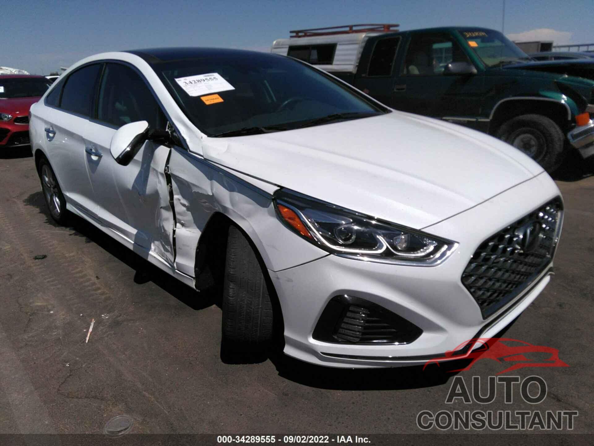 HYUNDAI SONATA 2019 - 5NPE34AF3KH820117