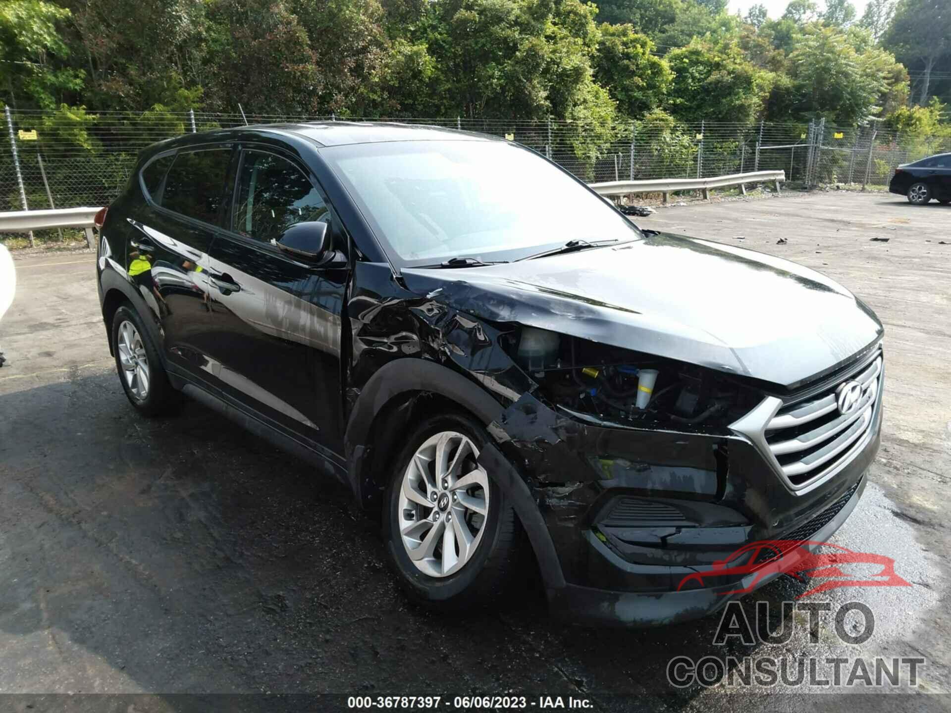 HYUNDAI TUCSON 2017 - KM8J23A48HU564271