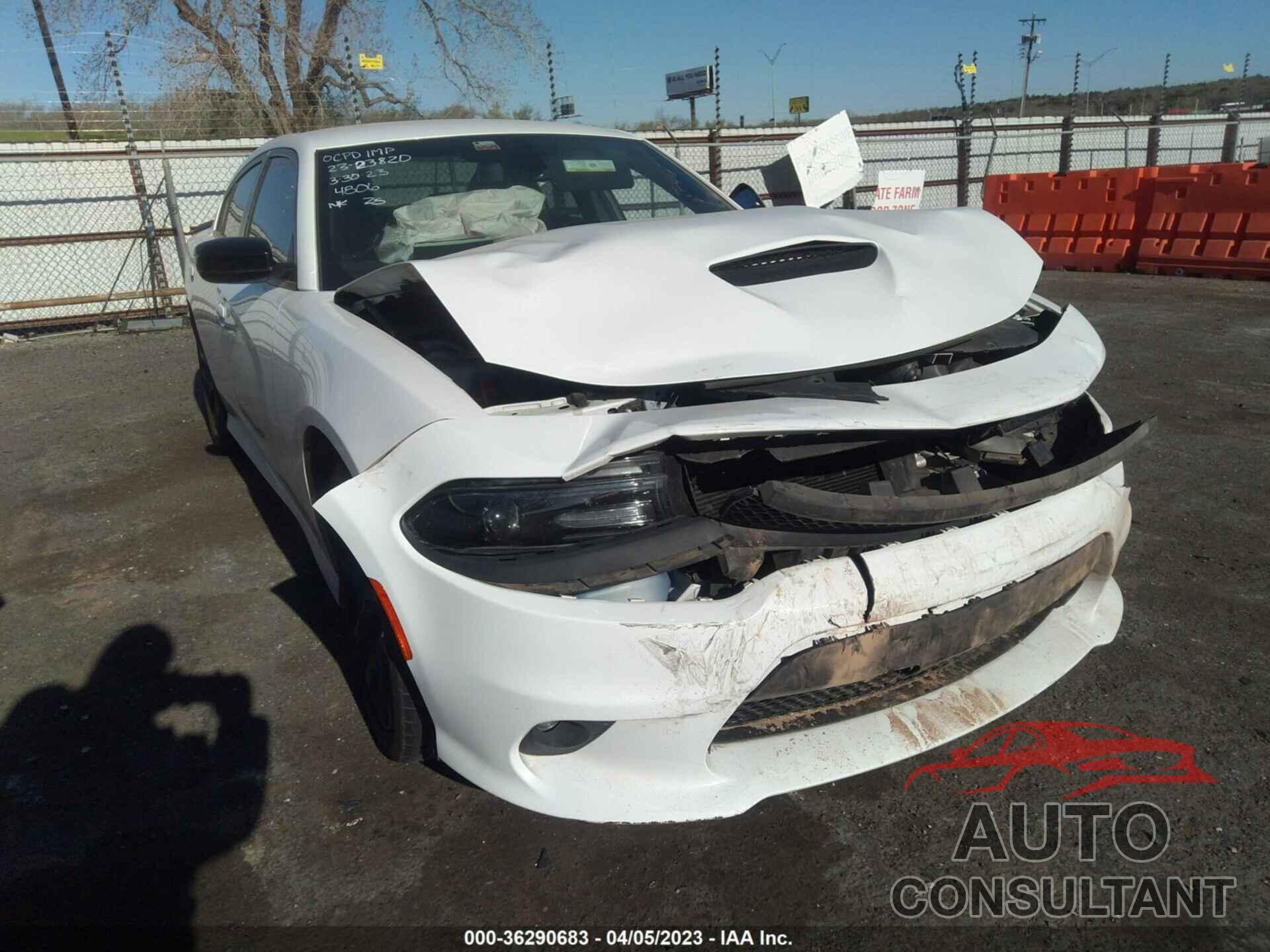 DODGE CHARGER 2019 - 2C3CDXHG2KH544806