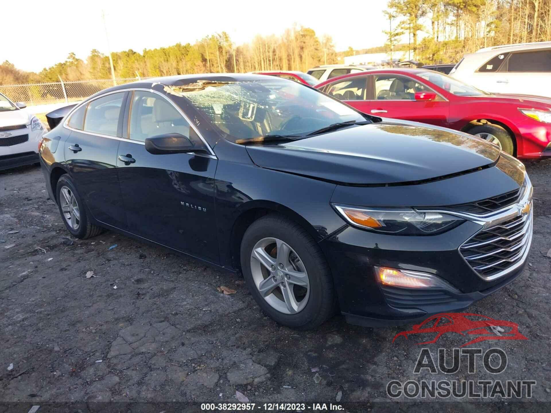 CHEVROLET MALIBU 2019 - 1G1ZC5STXKF217664