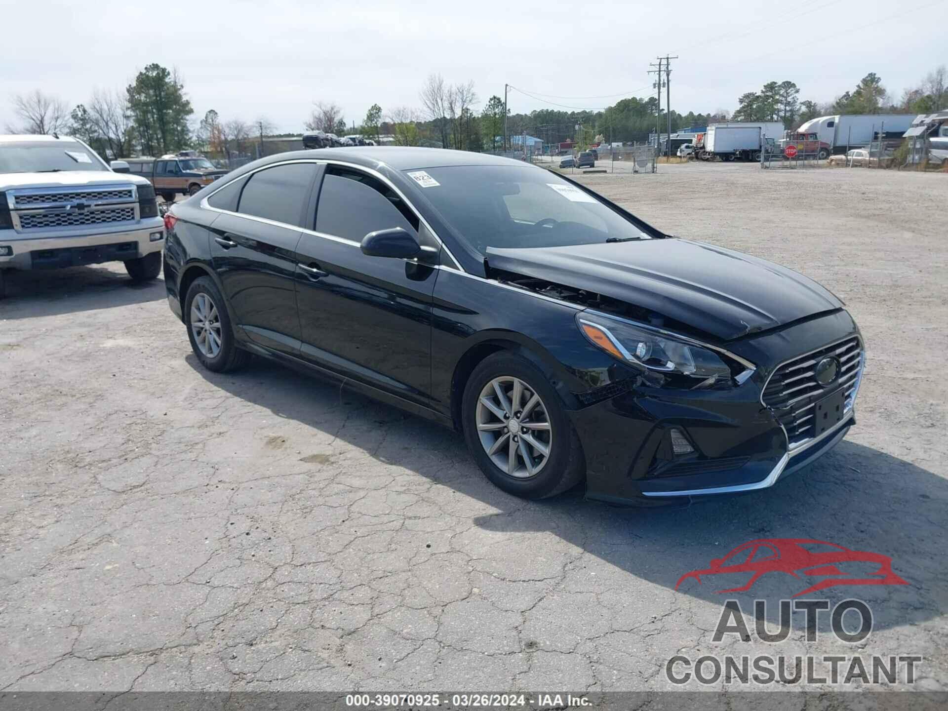 HYUNDAI SONATA 2019 - 5NPE24AF2KH762231