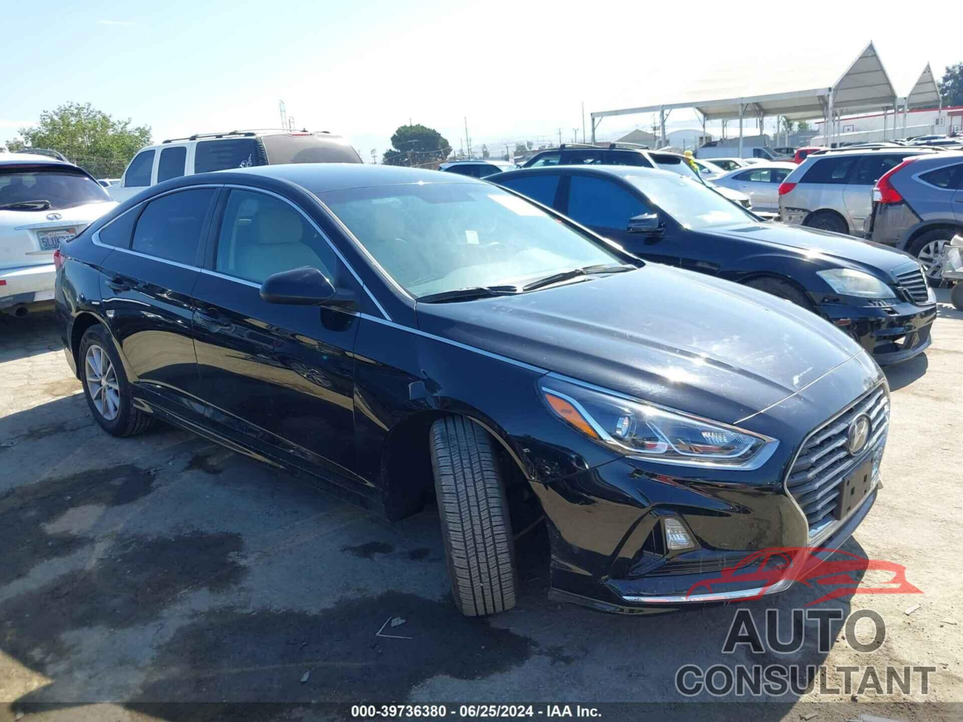 HYUNDAI SONATA 2019 - 5NPE24AF4KH817231