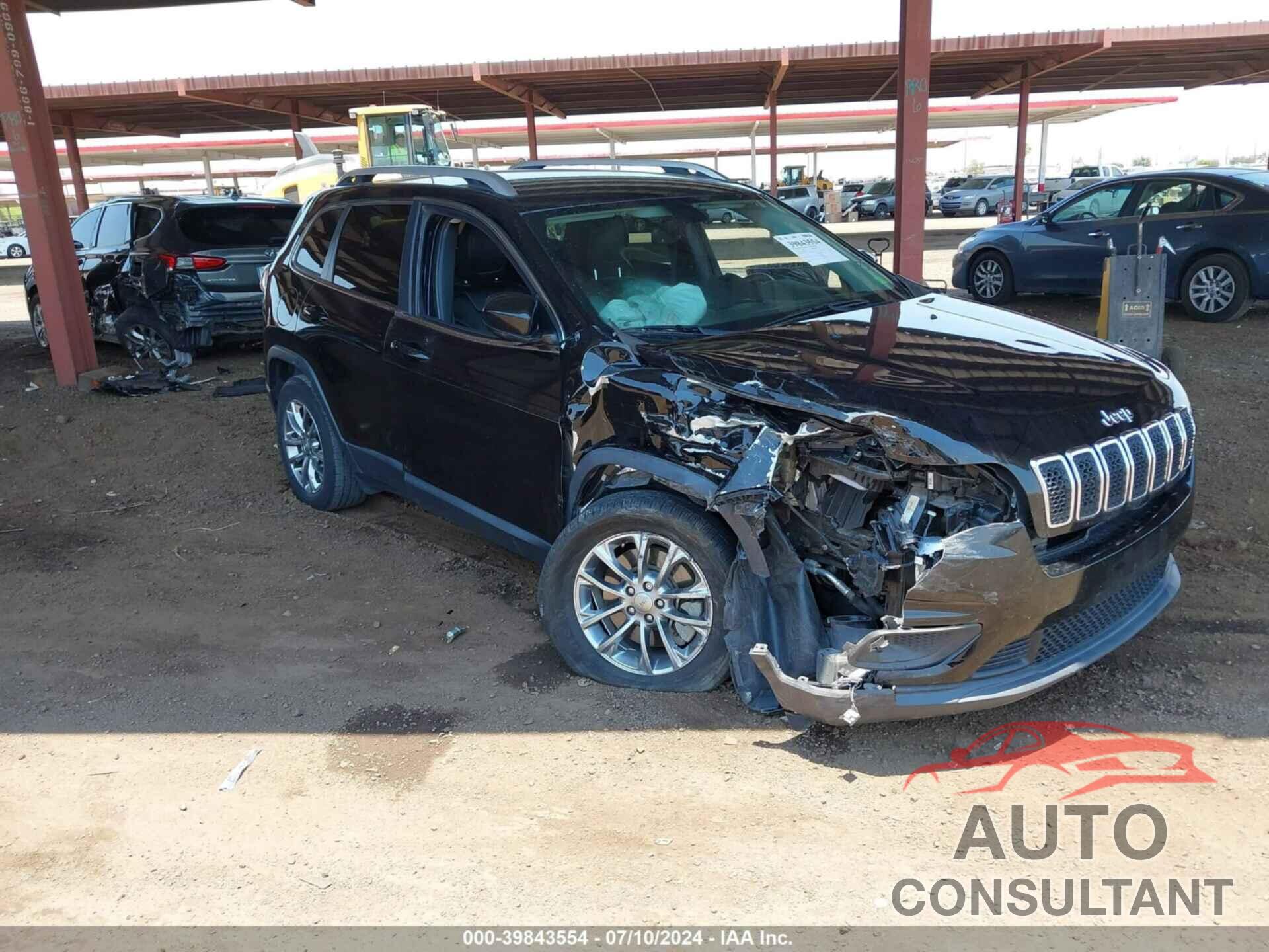 JEEP CHEROKEE 2019 - 1C4PJLLN2KD226217