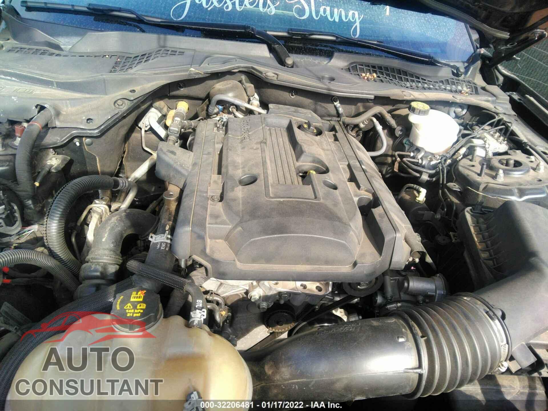 FORD MUSTANG 2019 - 1FA6P8TH3K5188188