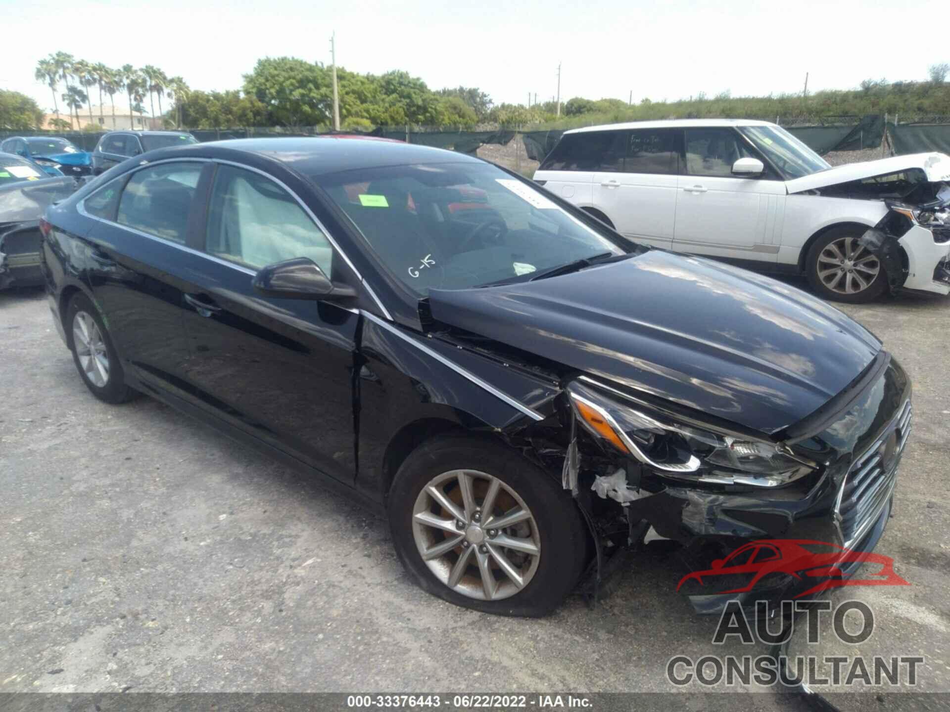 HYUNDAI SONATA 2019 - 5NPE24AF0KH743631