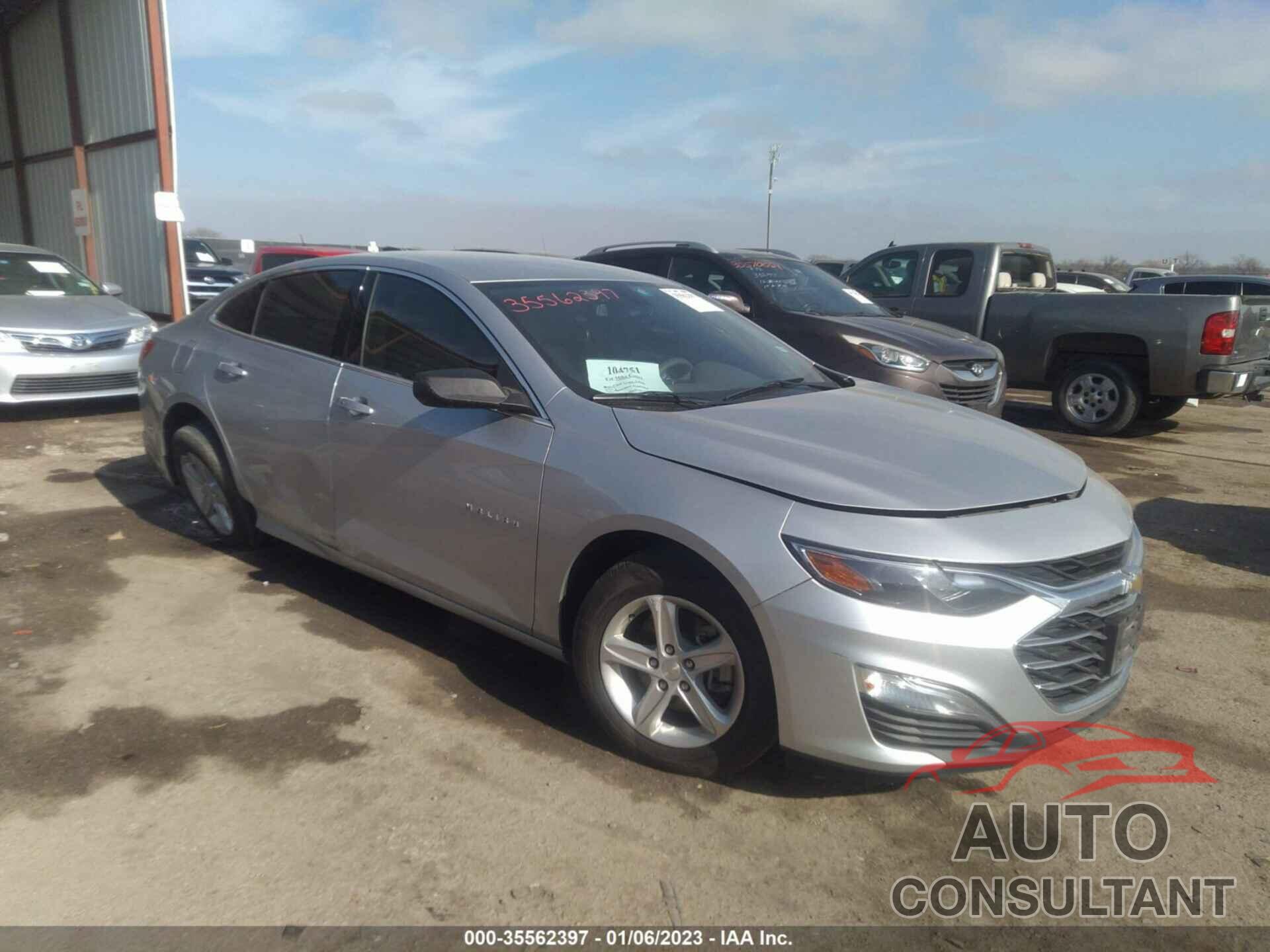 CHEVROLET MALIBU 2019 - 1G1ZB5ST7KF204261